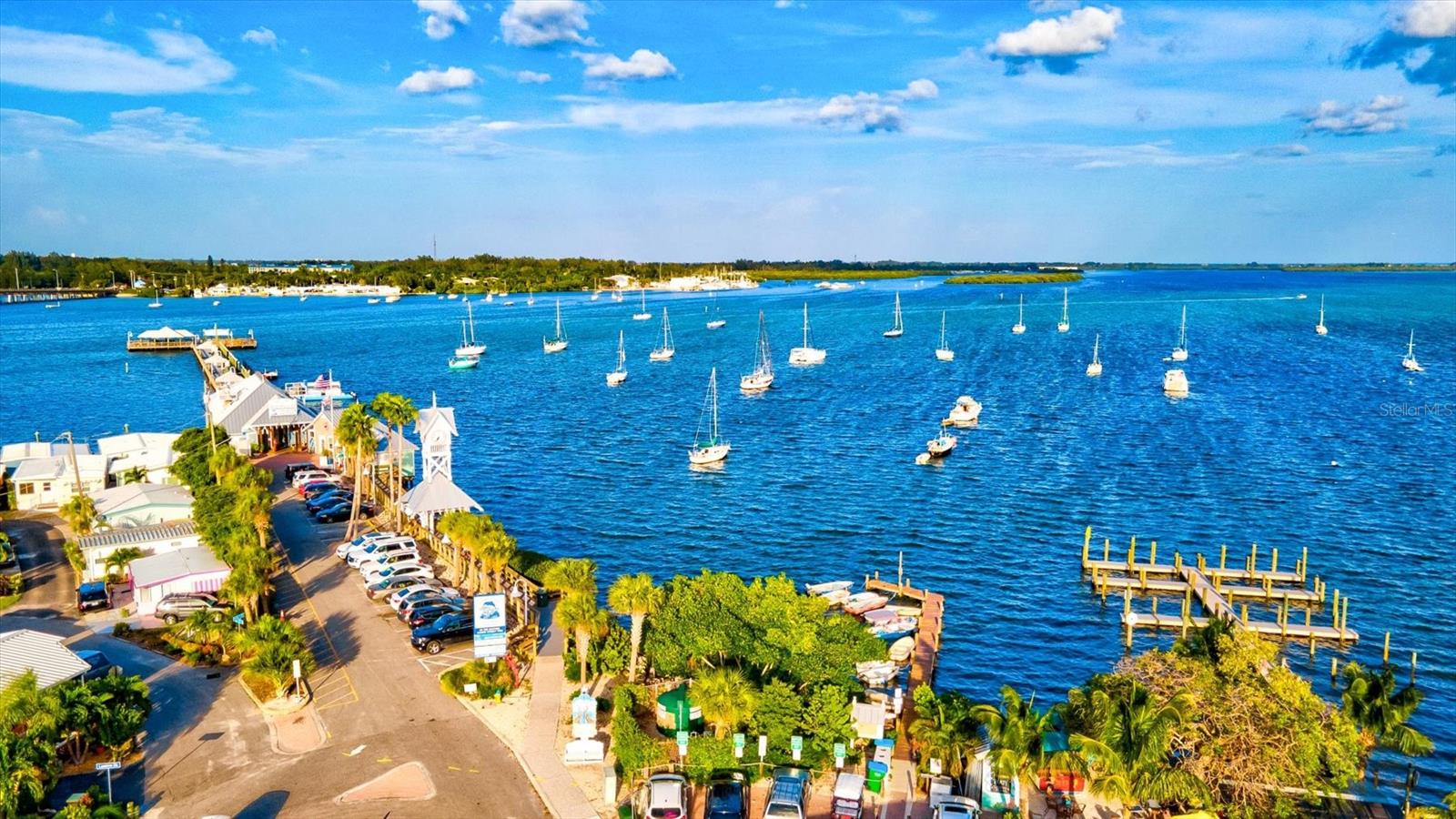 5429 SPANISH MOSS CV