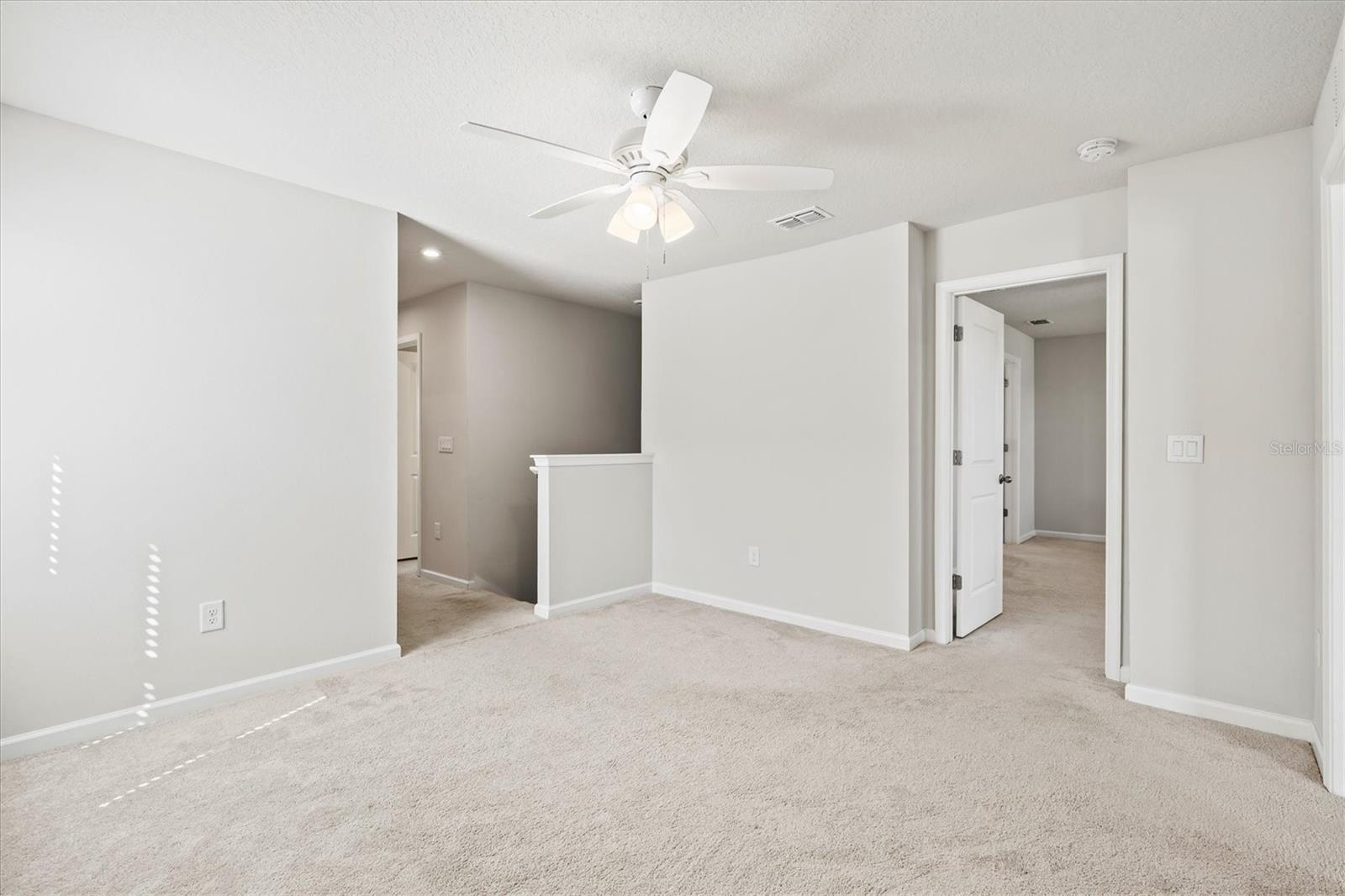 5429 SPANISH MOSS CV