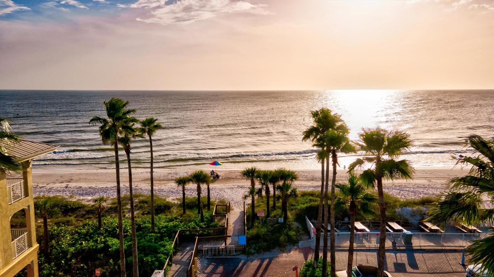 5429 SPANISH MOSS CV