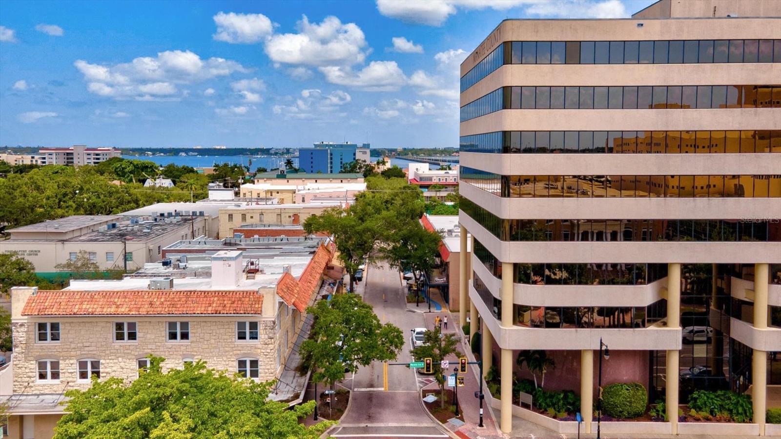 5429 SPANISH MOSS CV