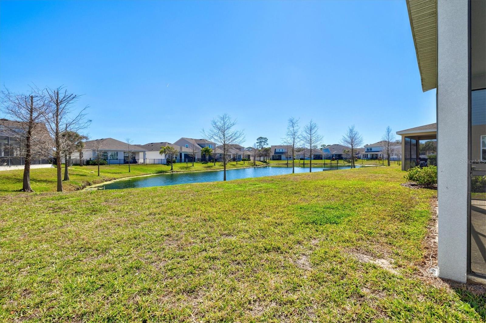 5429 SPANISH MOSS CV