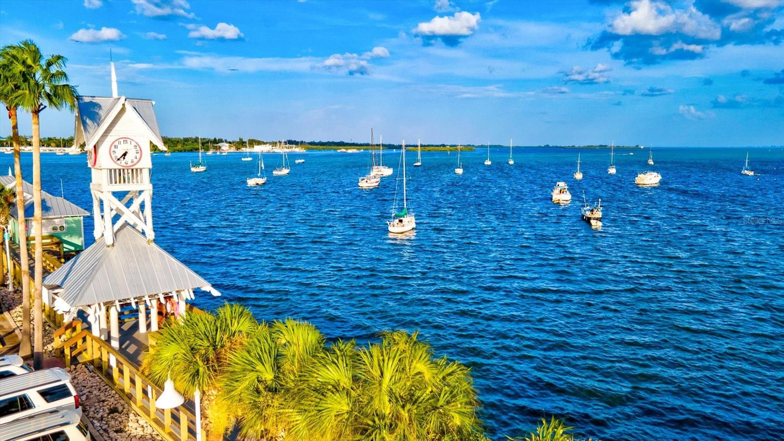 5429 SPANISH MOSS CV