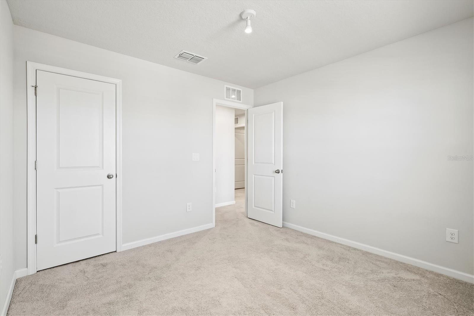 5429 SPANISH MOSS CV