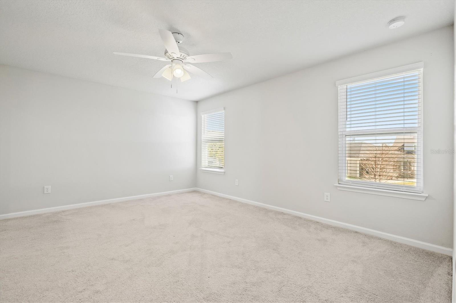 5429 SPANISH MOSS CV