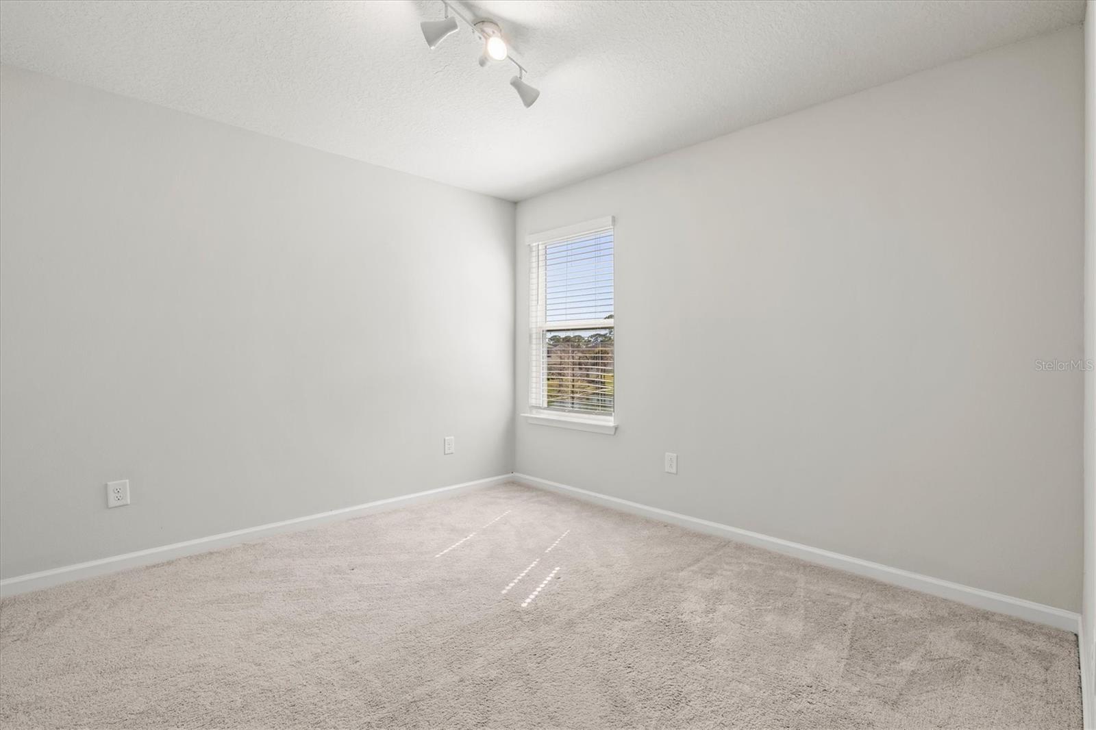 5429 SPANISH MOSS CV