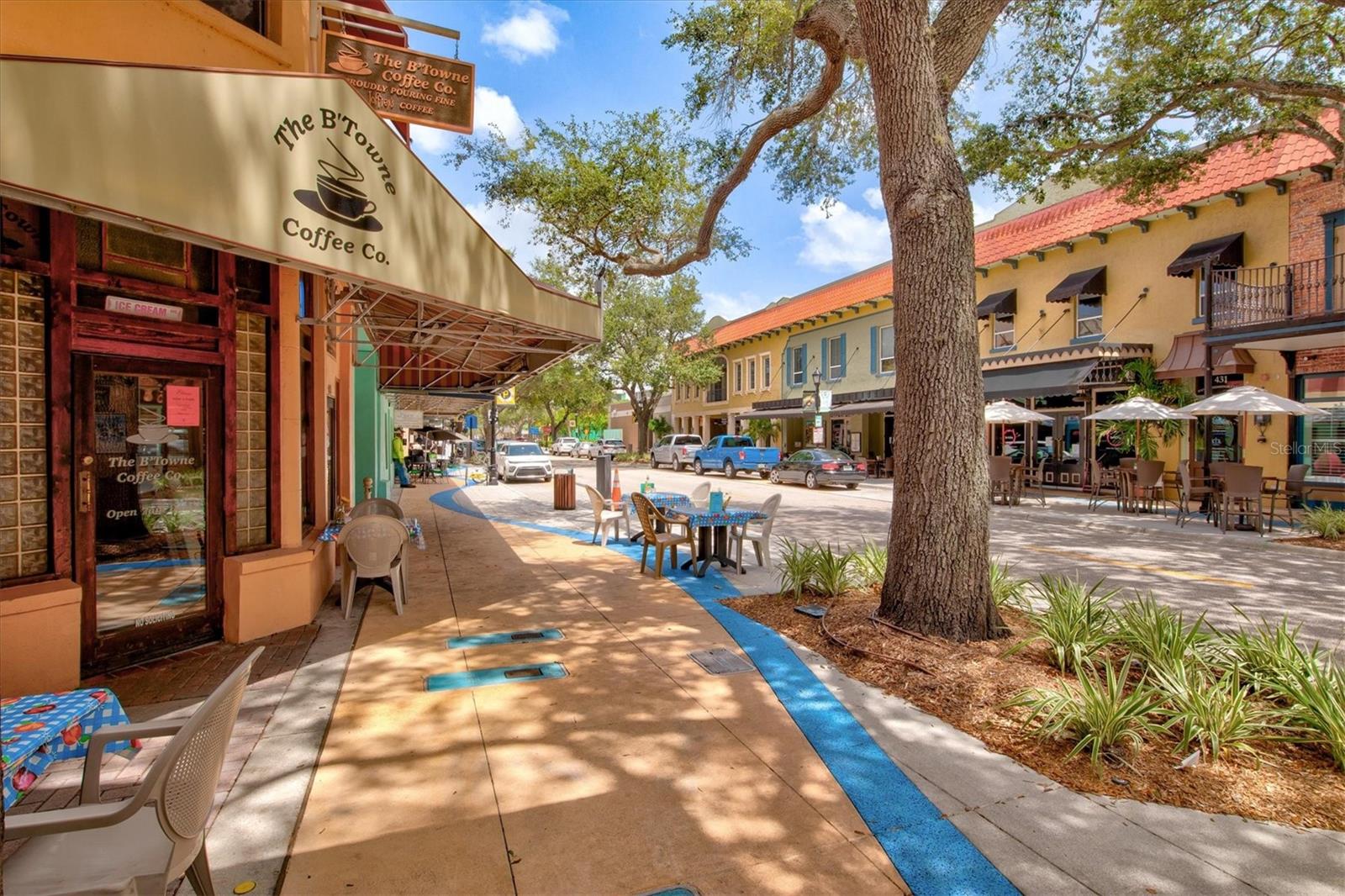 5429 SPANISH MOSS CV