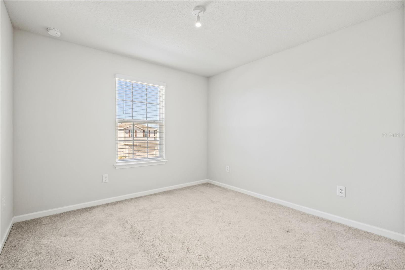 5429 SPANISH MOSS CV