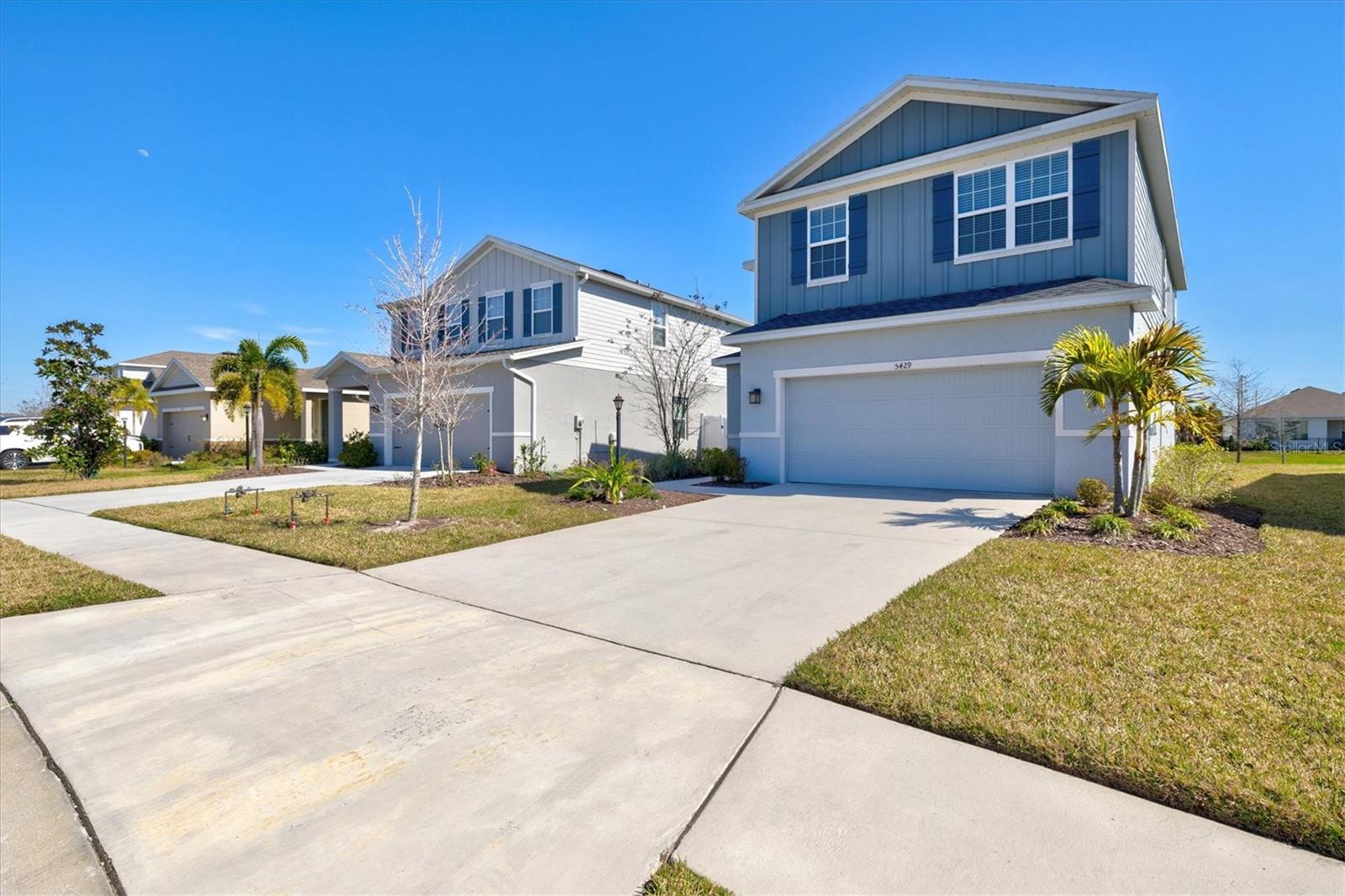 5429 SPANISH MOSS CV