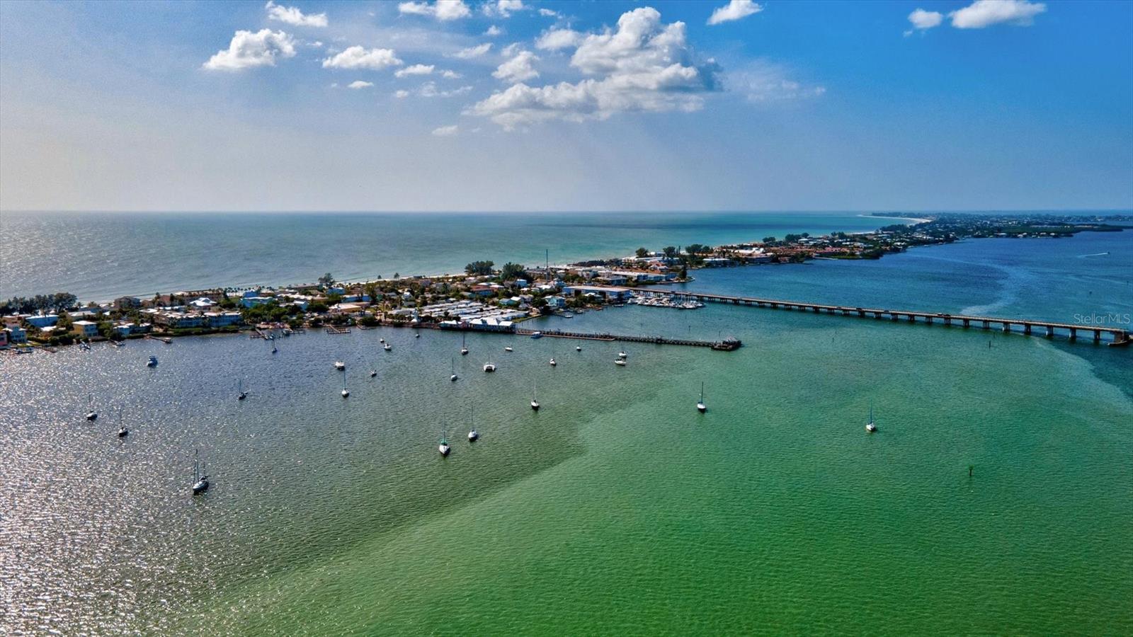 5429 SPANISH MOSS CV