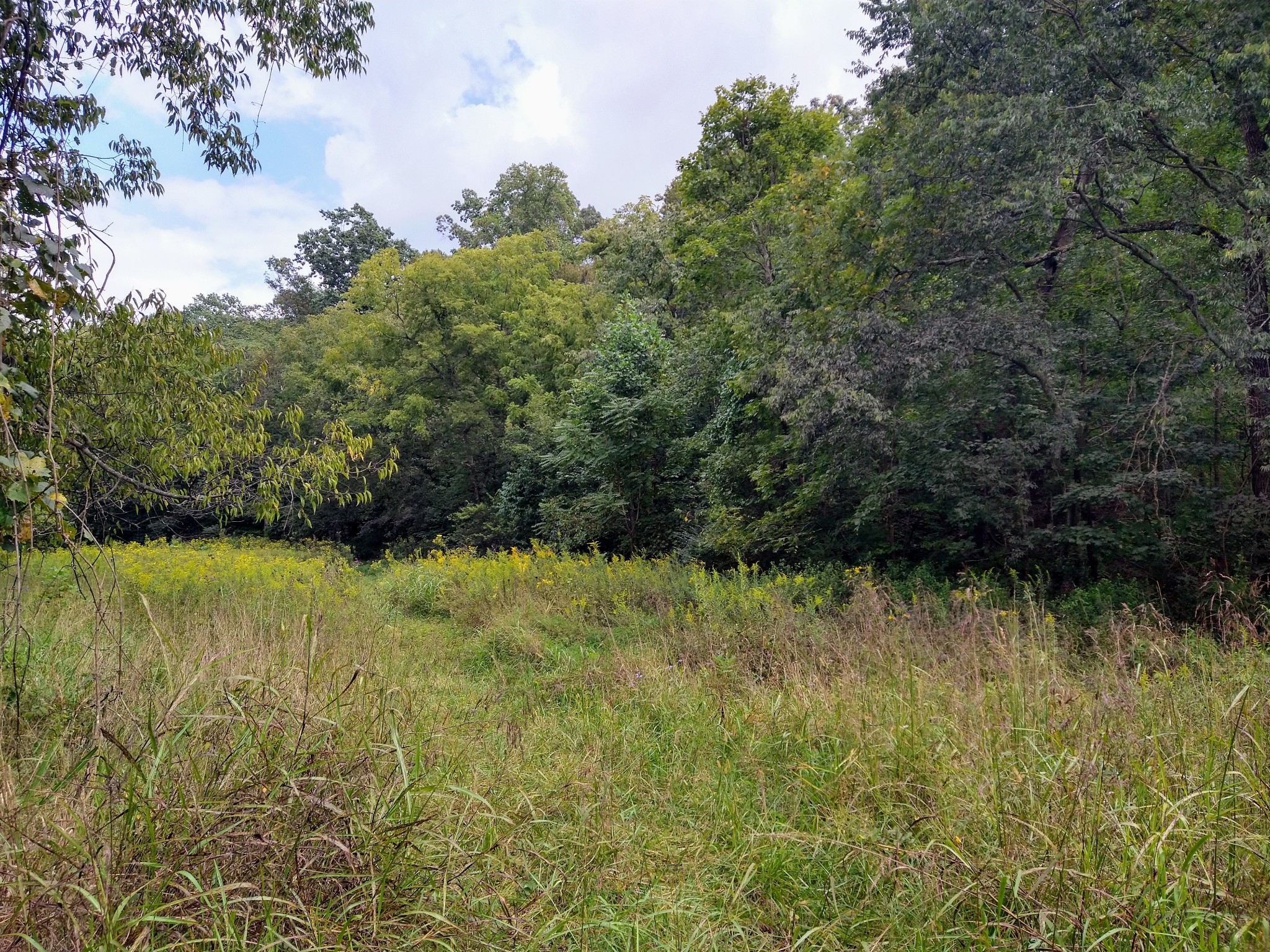 3102 Highway 76