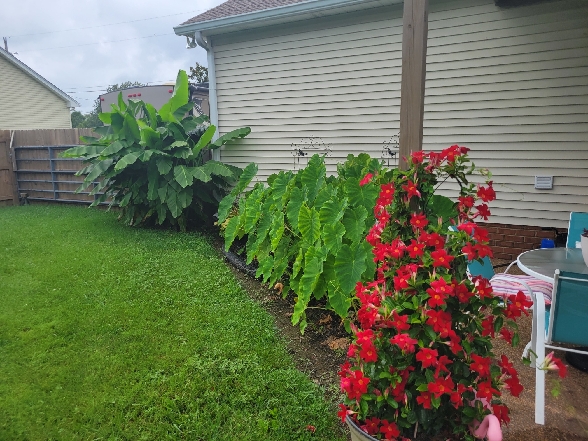 127 Megann Dr