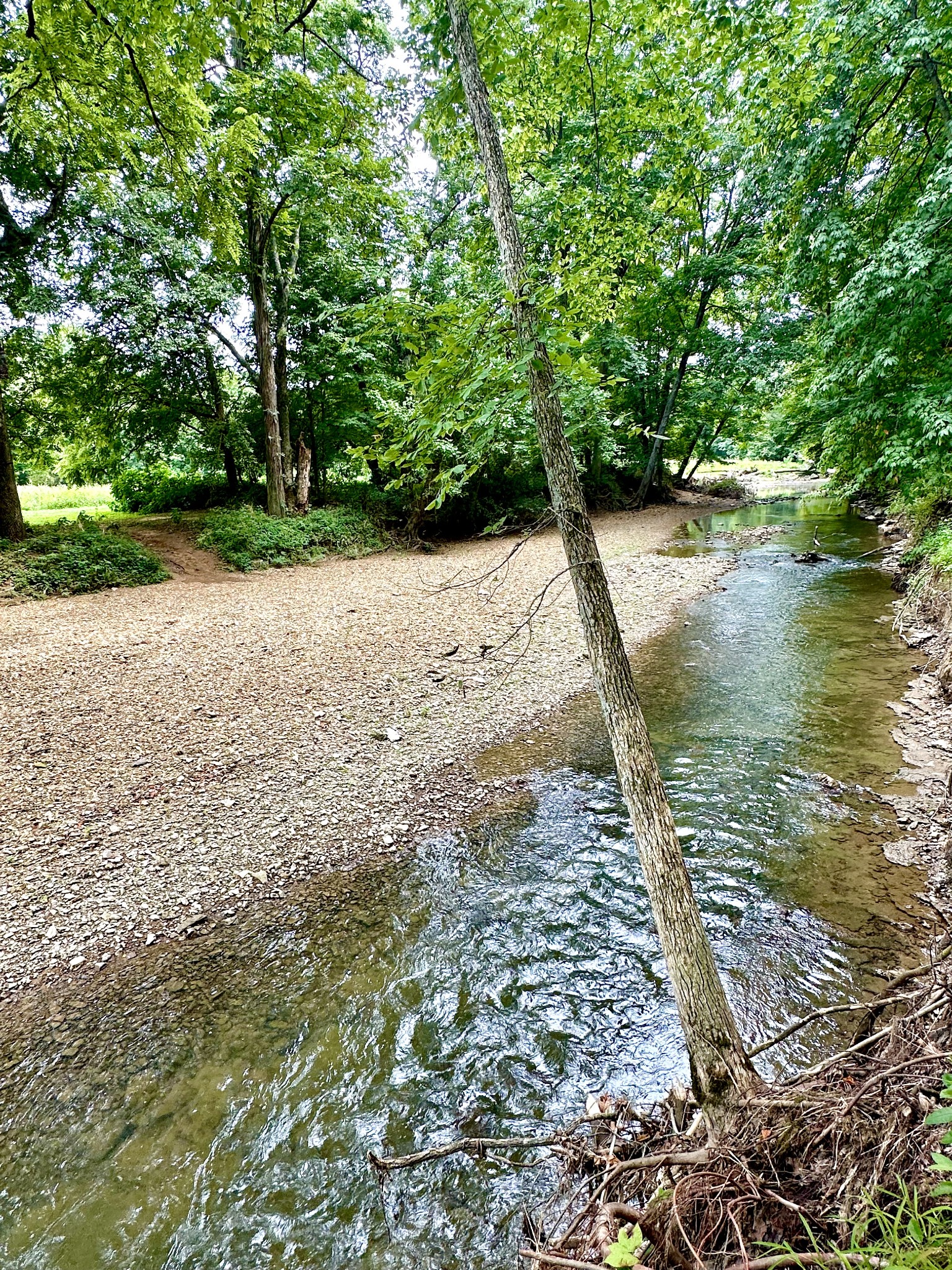 368 Ranch Rd