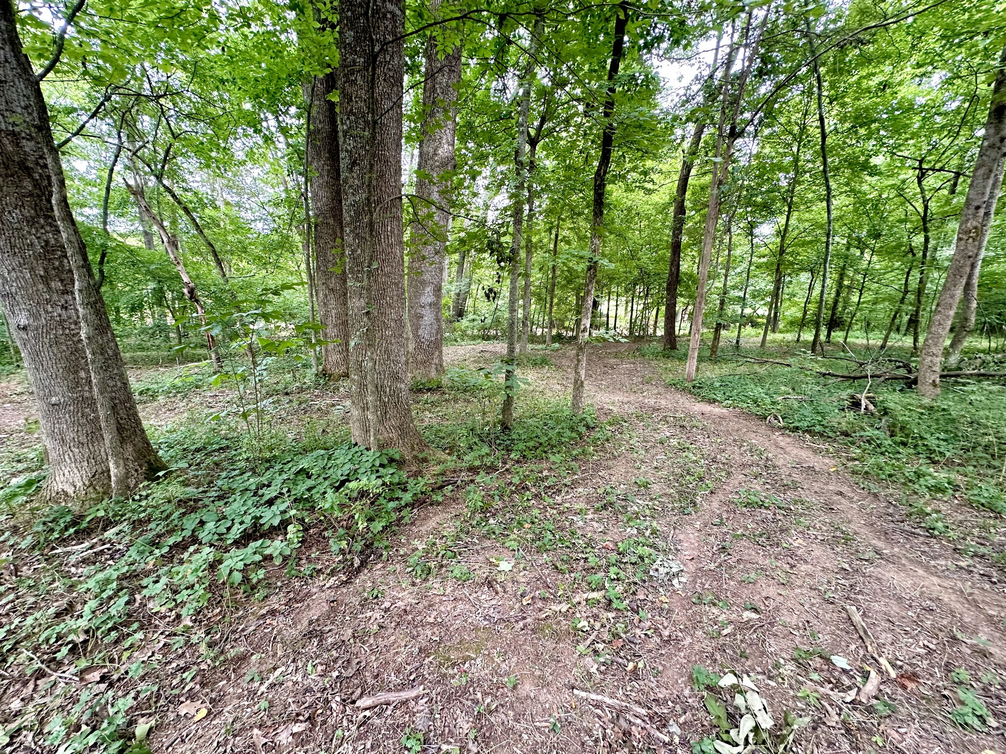 368 Ranch Rd