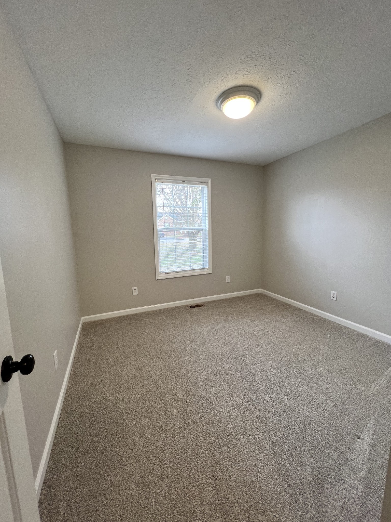 1203 Andrea Ln