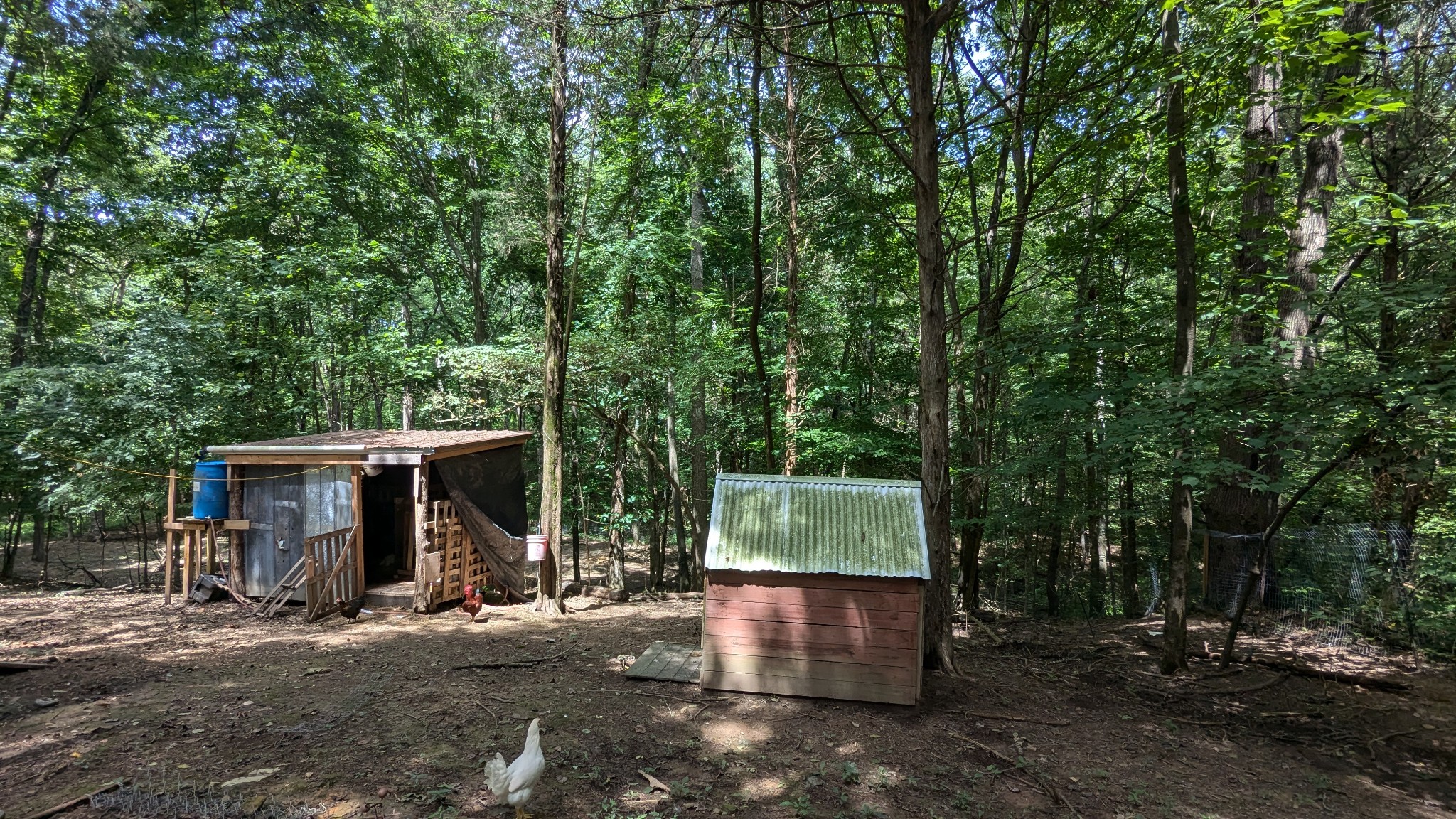 1099 N Boiling Springs Pvt Ct