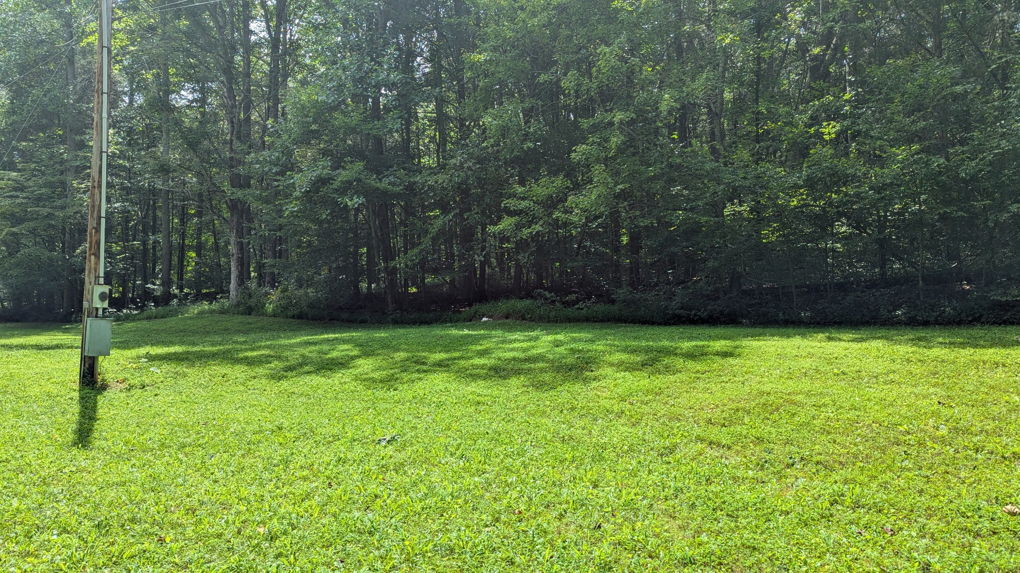 1099 N Boiling Springs Pvt Ct