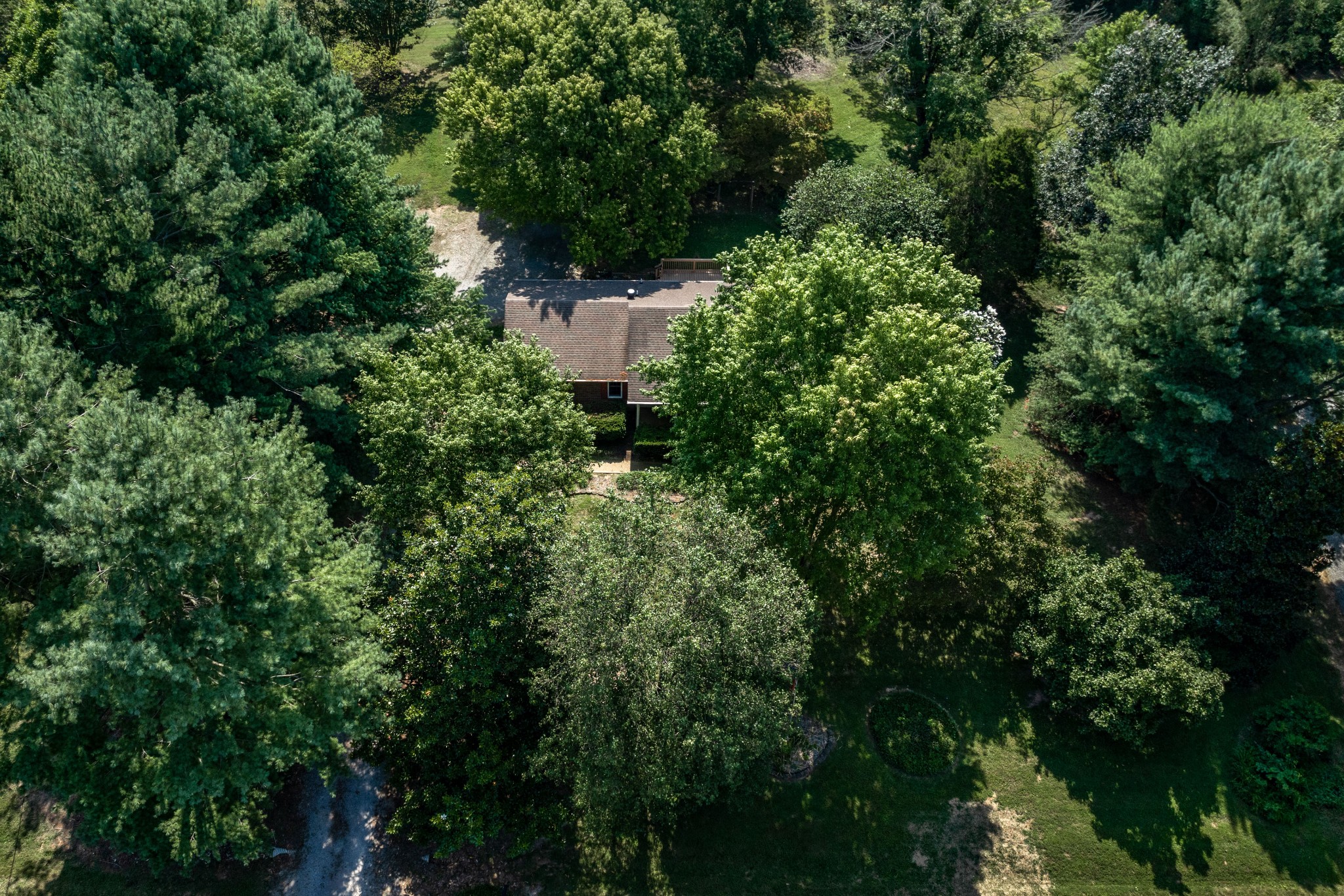 117 Hickory Hill Dr