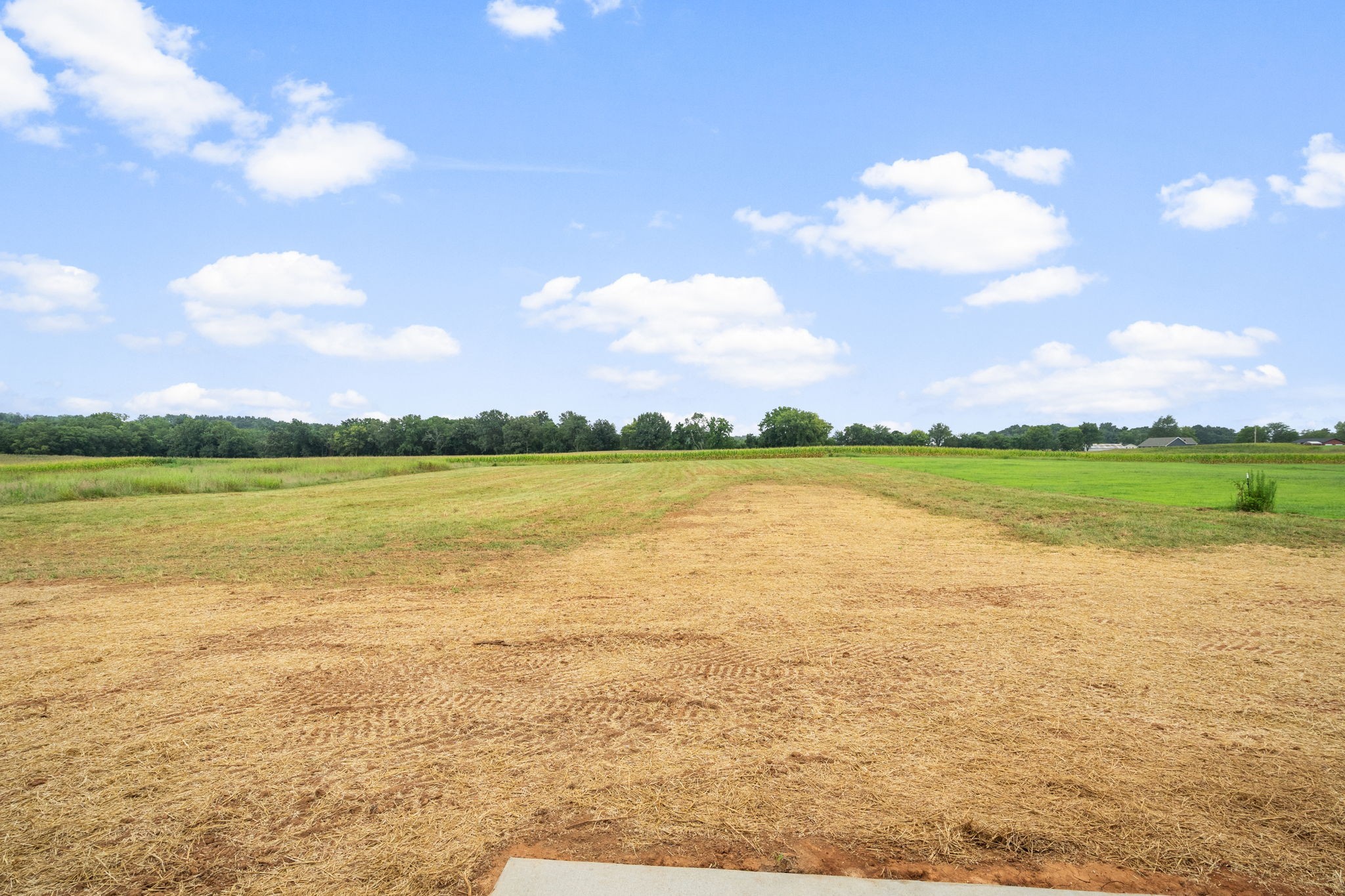 4401 Benson Rd