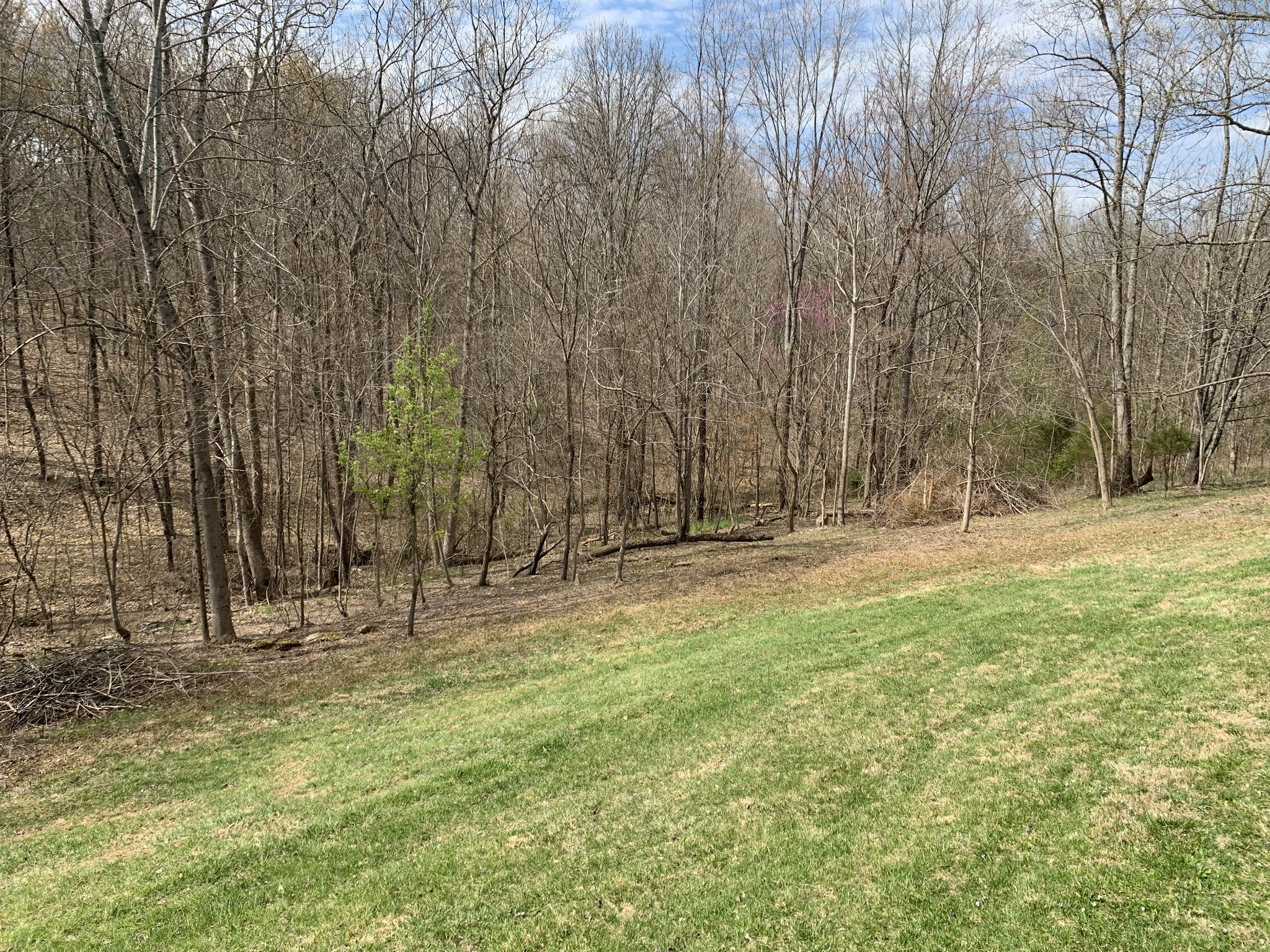713 Hog Back Ridge Rd