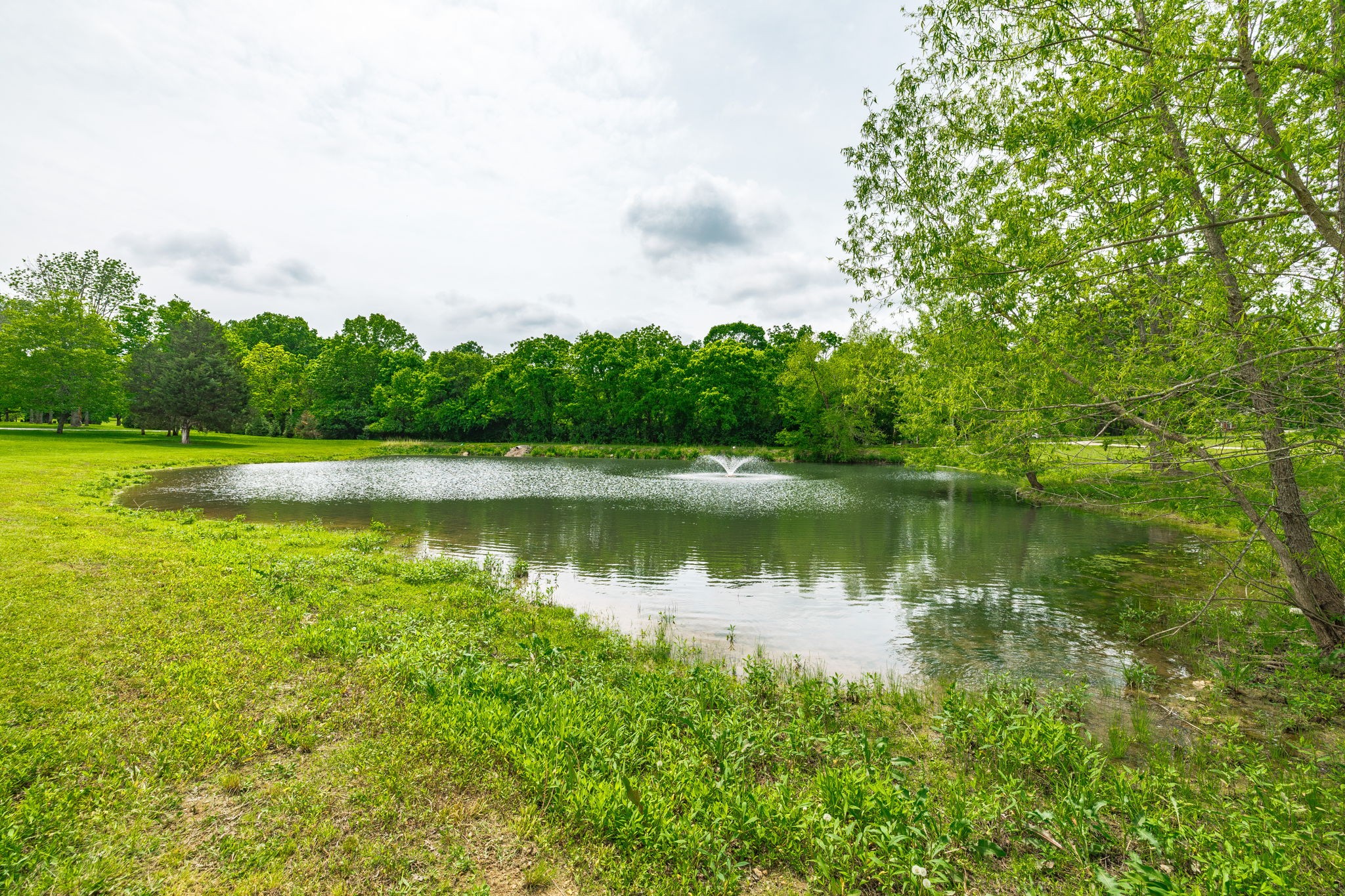 568 Forest Retreat Rd