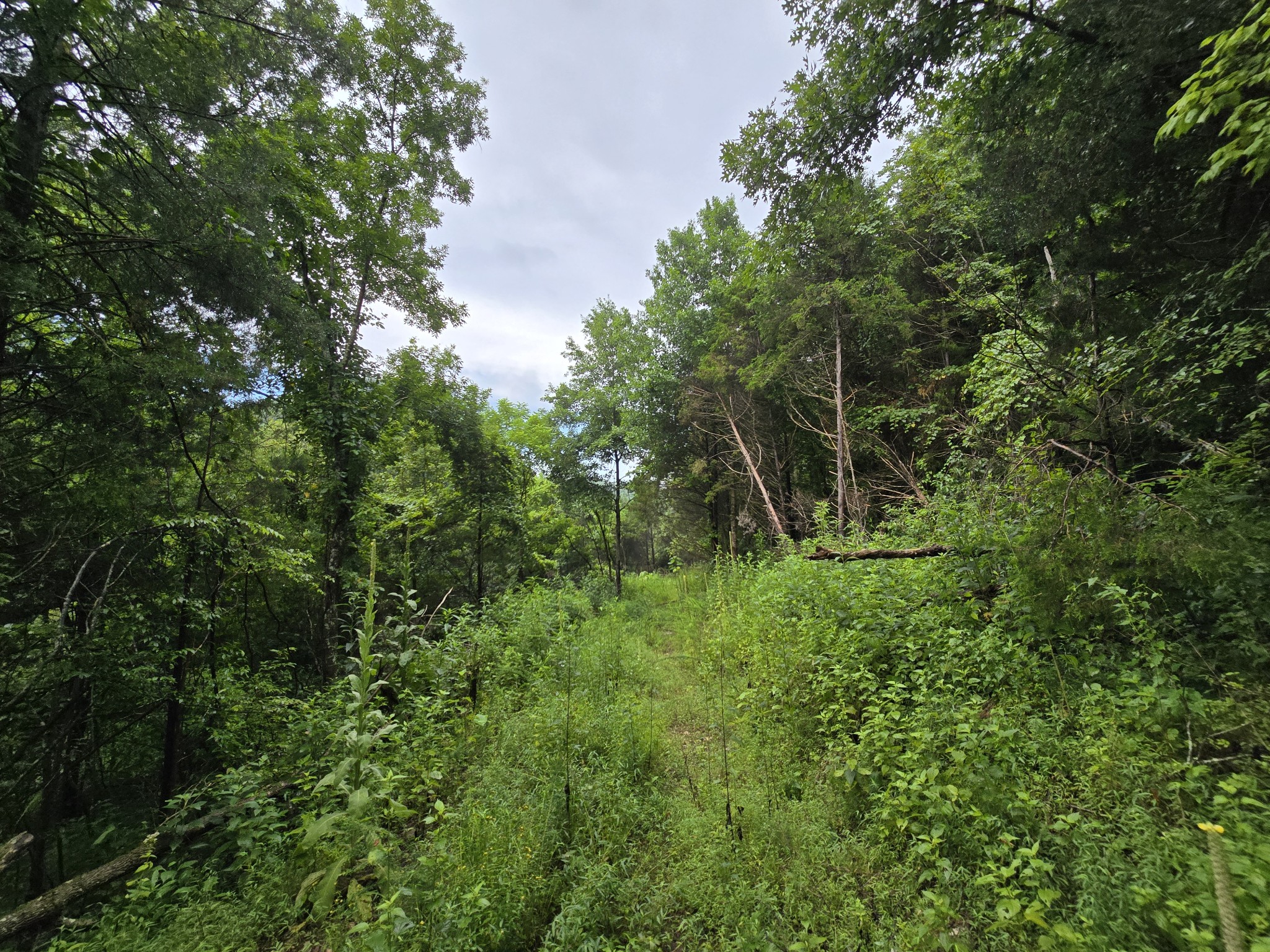 296 Little Creek Rd