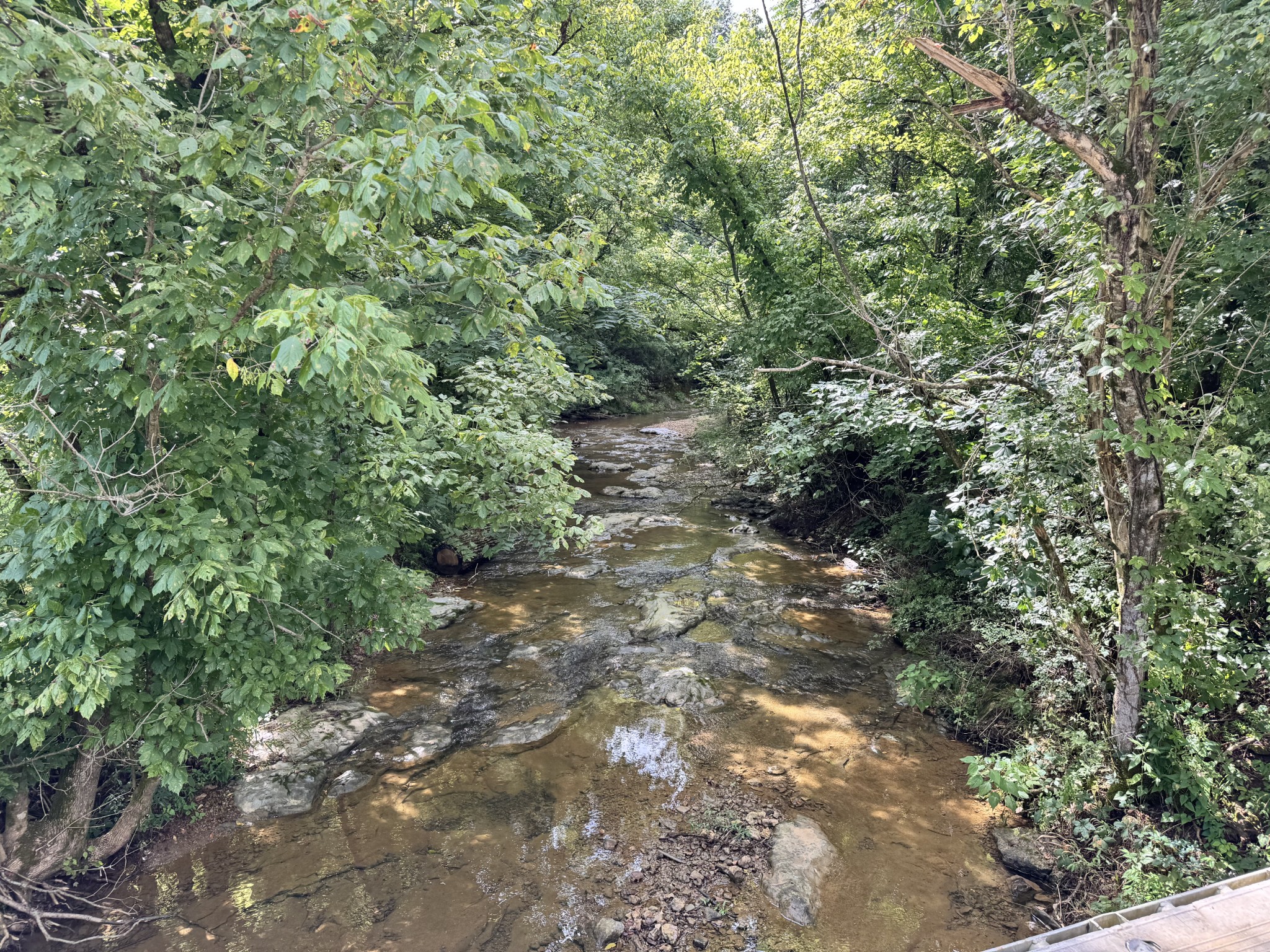 296 Little Creek Rd