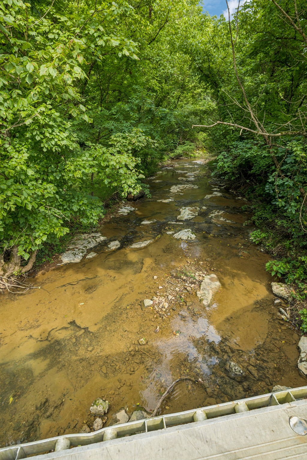 296 Little Creek Rd