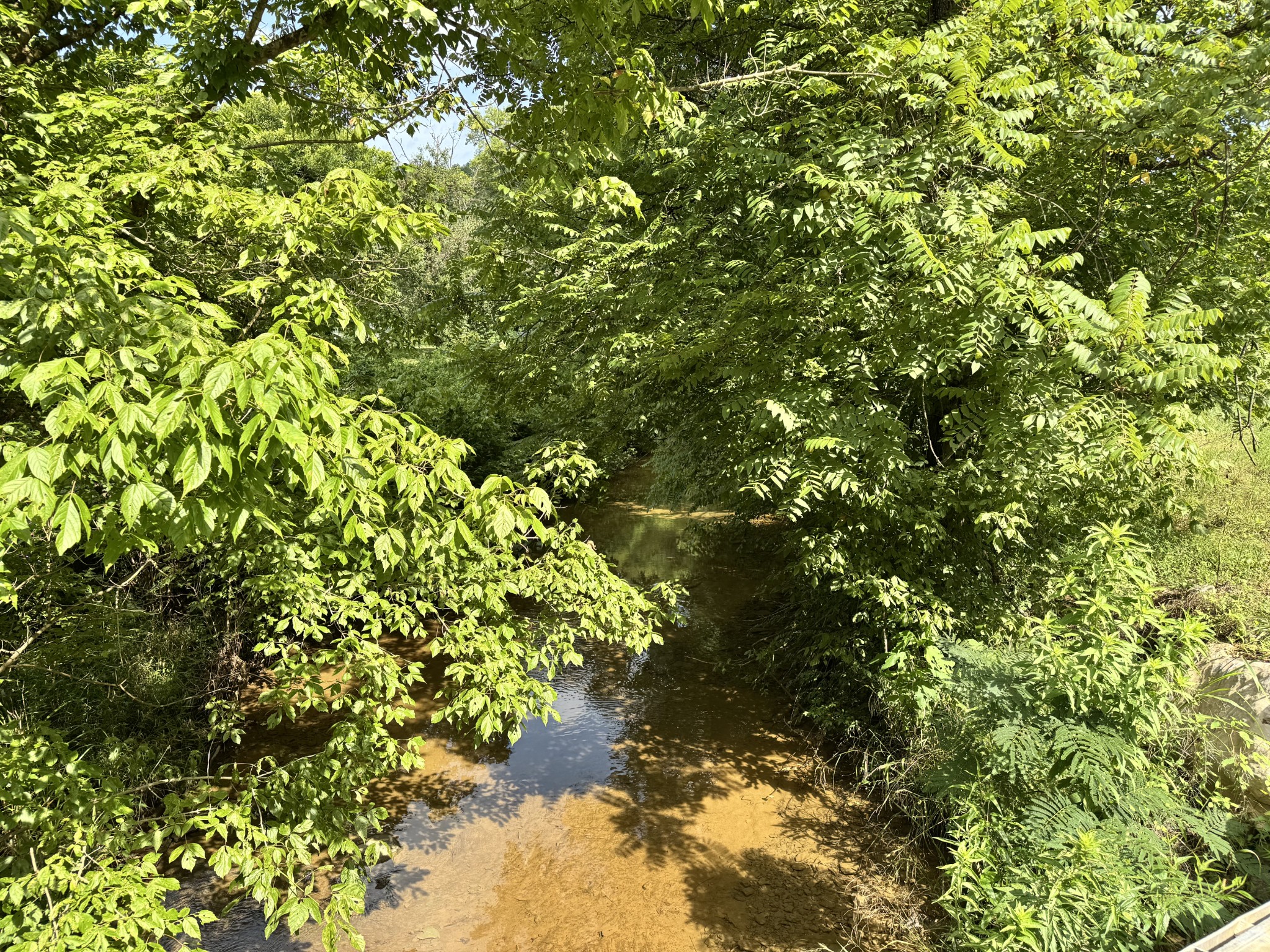 296 Little Creek Rd