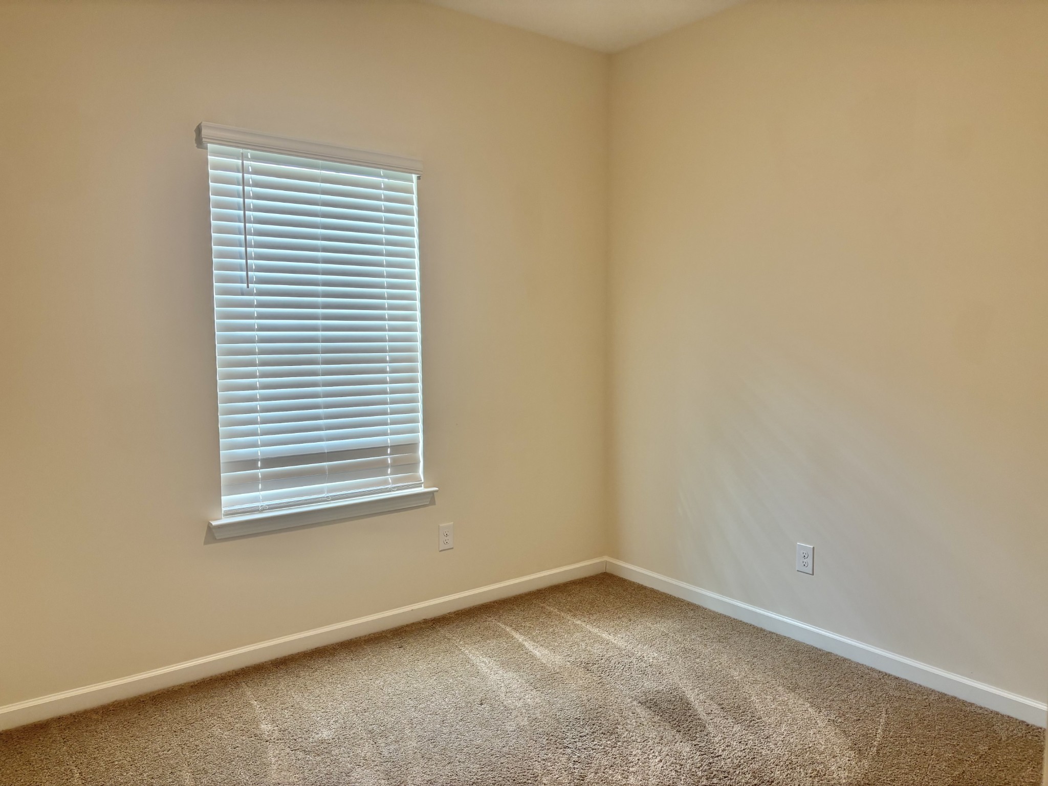 560 Fredericksburg Dr