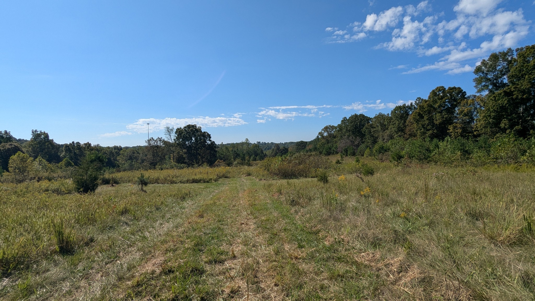 0 Meadows Rd