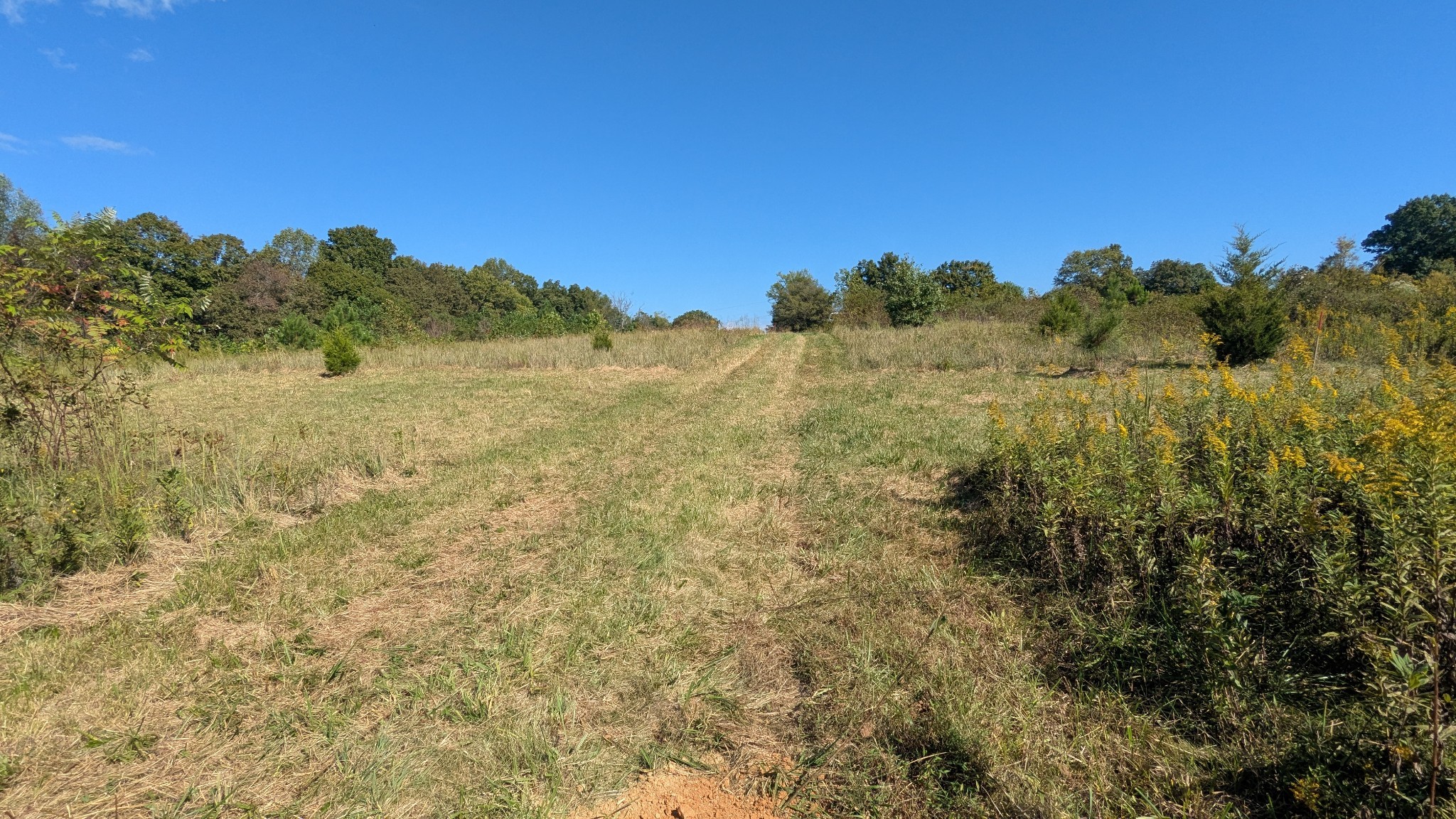 0 Meadows Rd