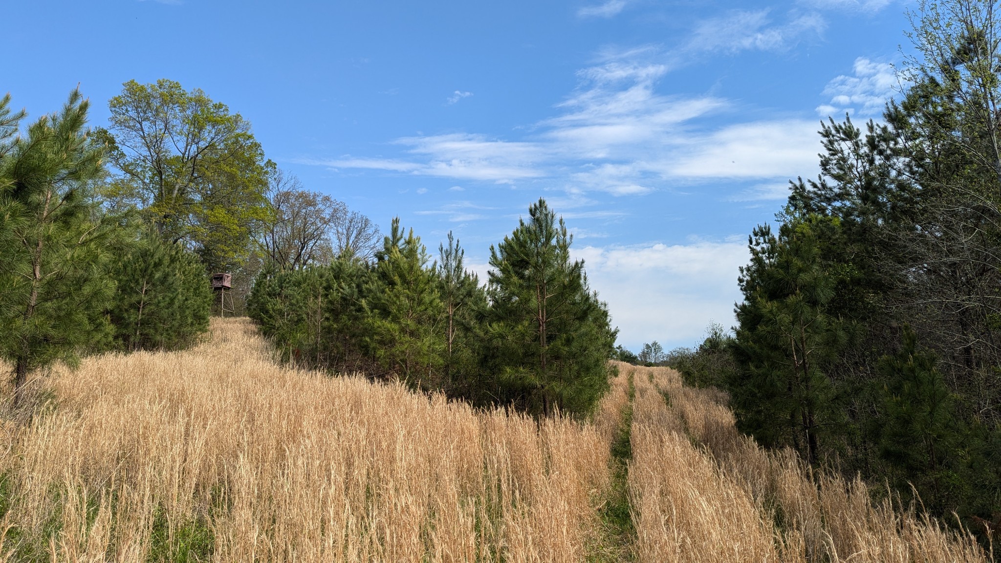 0 Meadows Rd