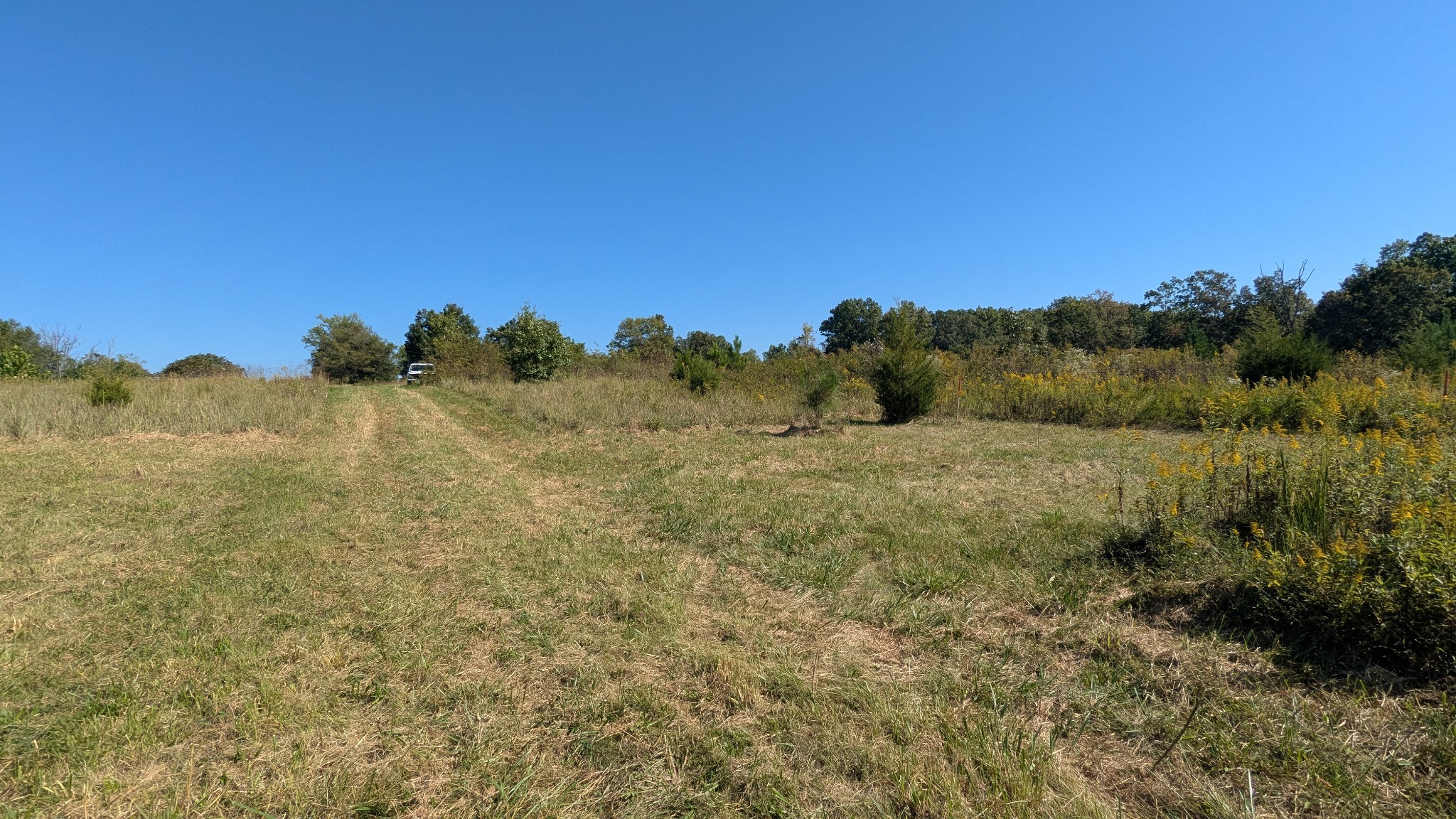 0 Meadows Rd