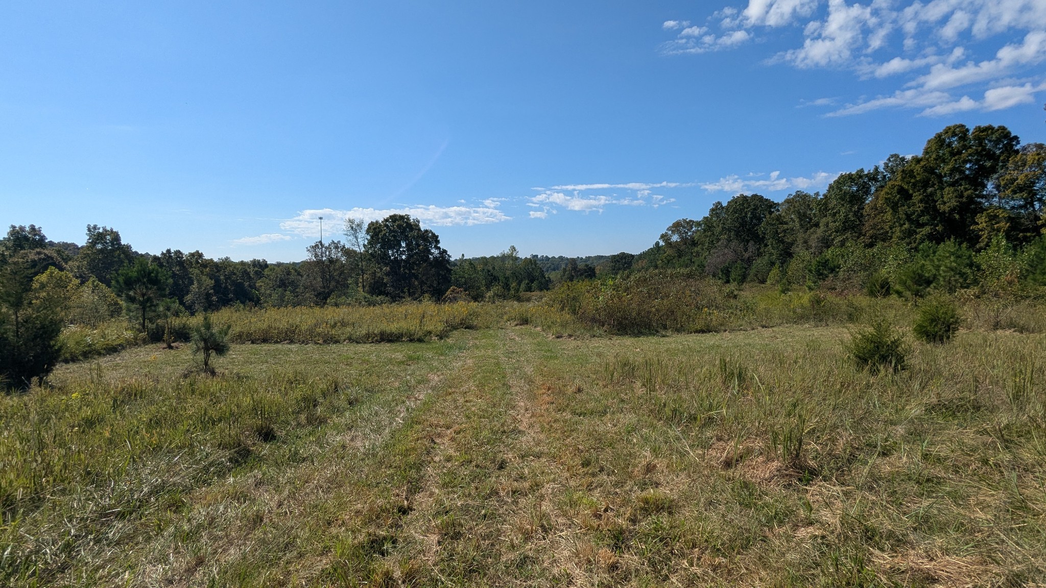 0 Meadows Rd