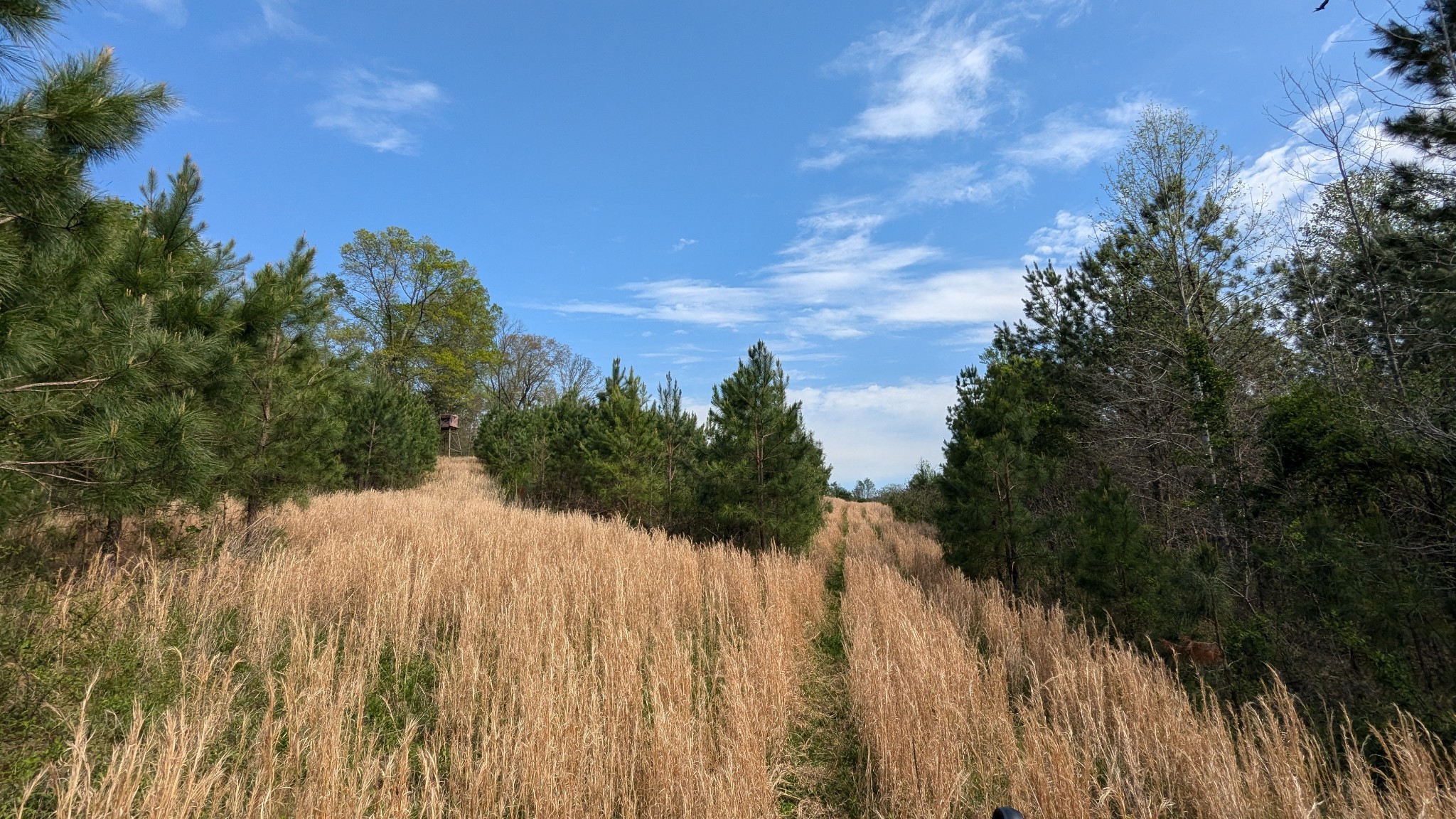 0 Meadows Rd