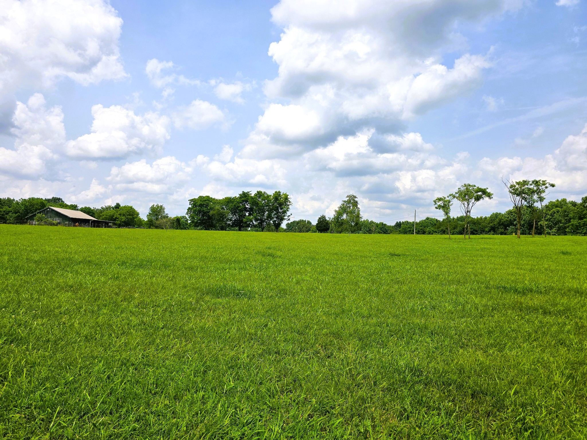 7373 New Chapel Road