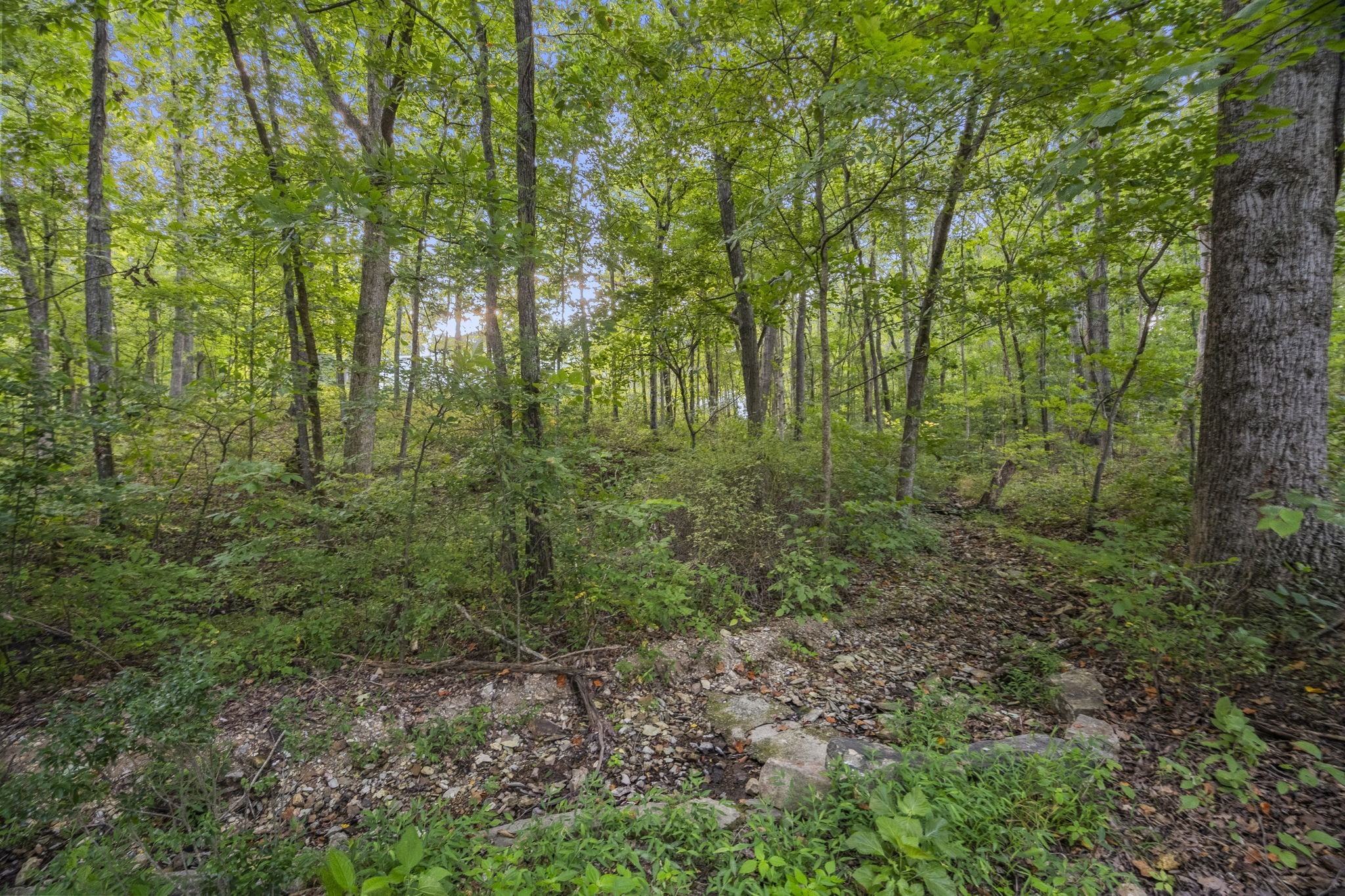 144A Dogwood Springs Dr