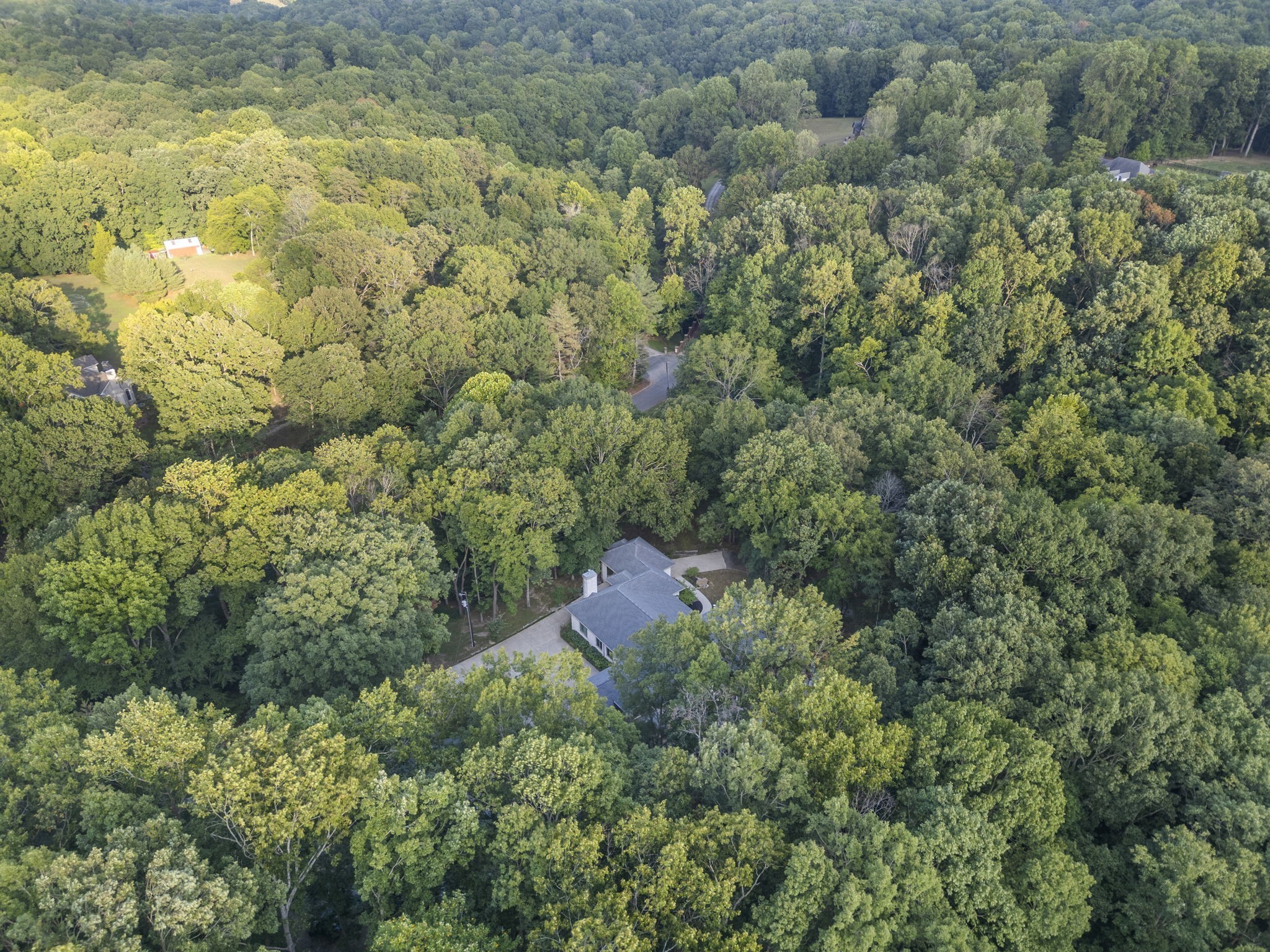 144A Dogwood Springs Dr