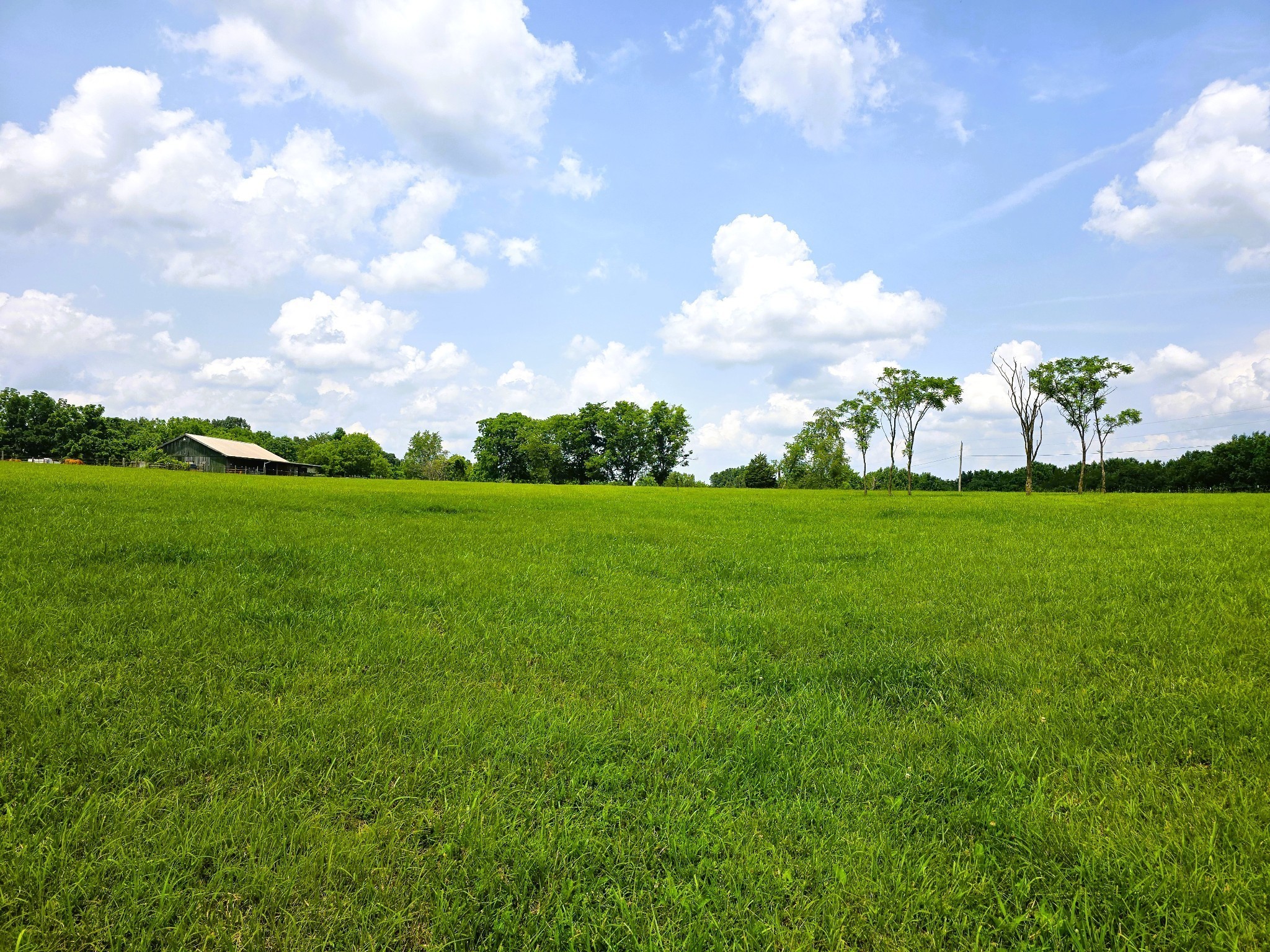 7373 New Chapel Road