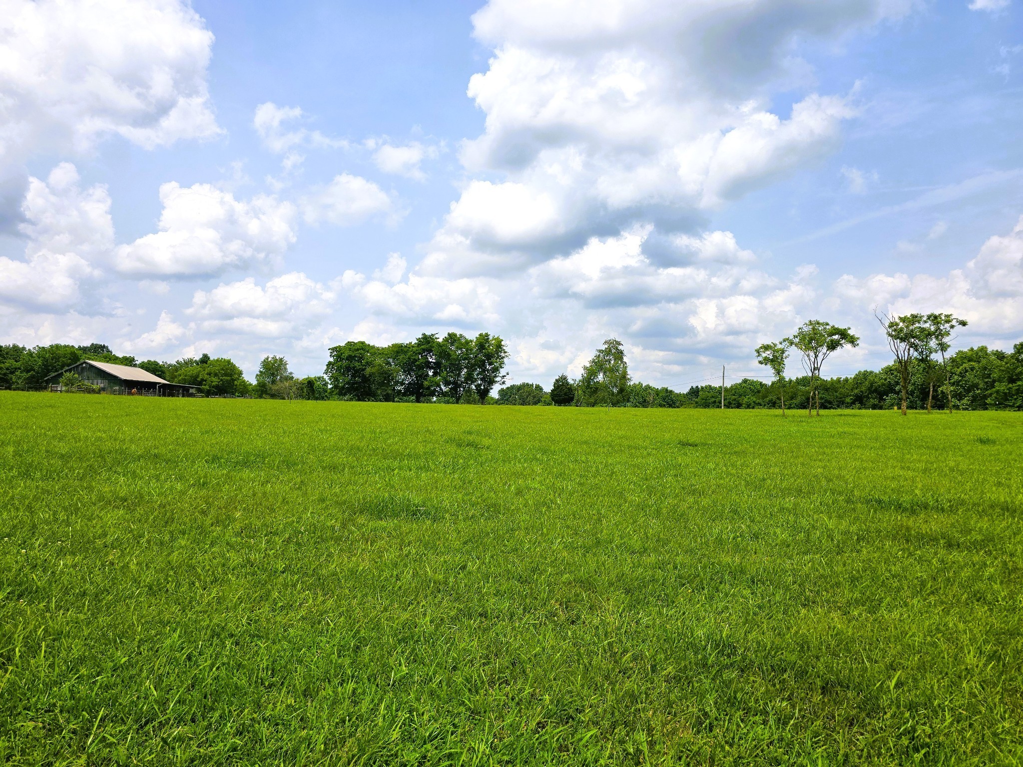 7373 New Chapel Road