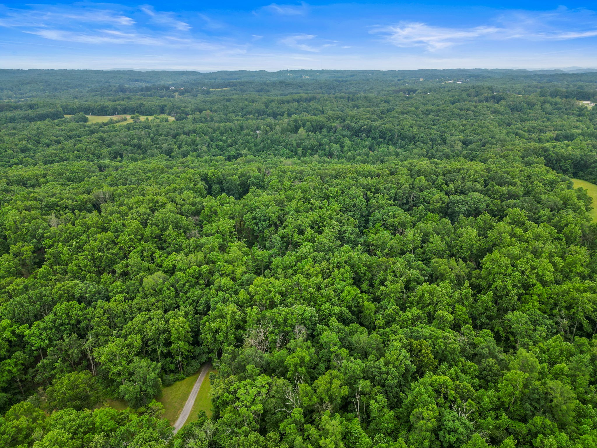 150A Dogwood Springs Dr