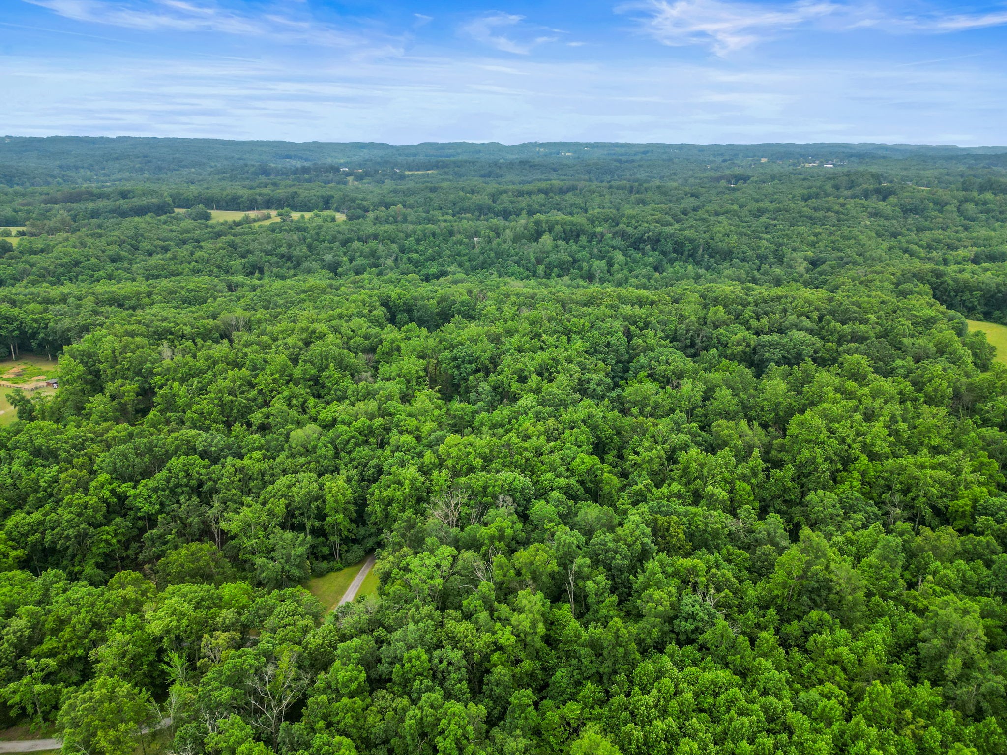 150A Dogwood Springs Dr