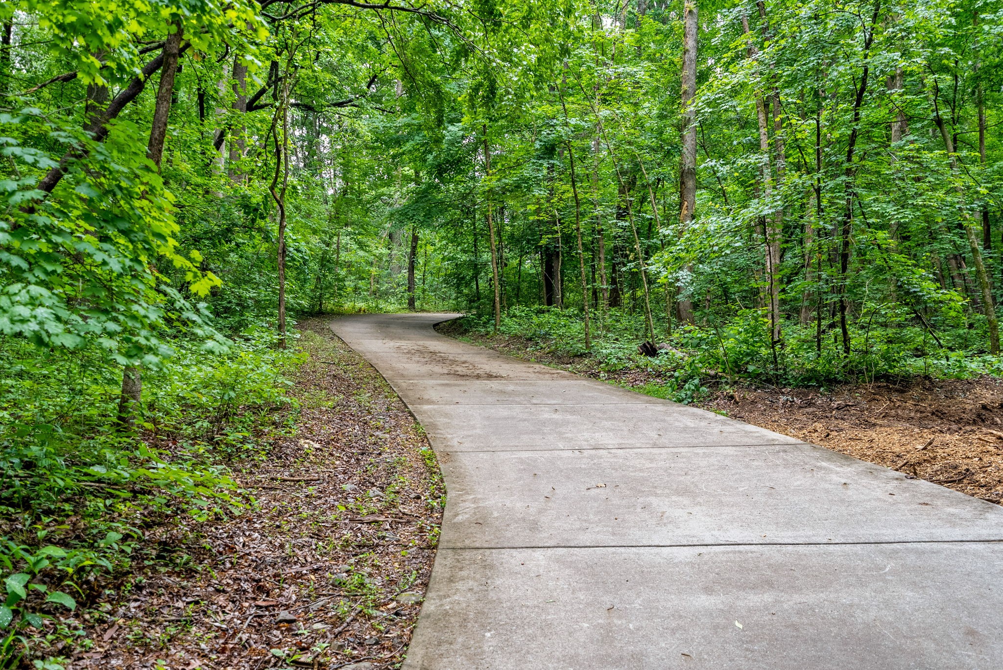 150A Dogwood Springs Dr