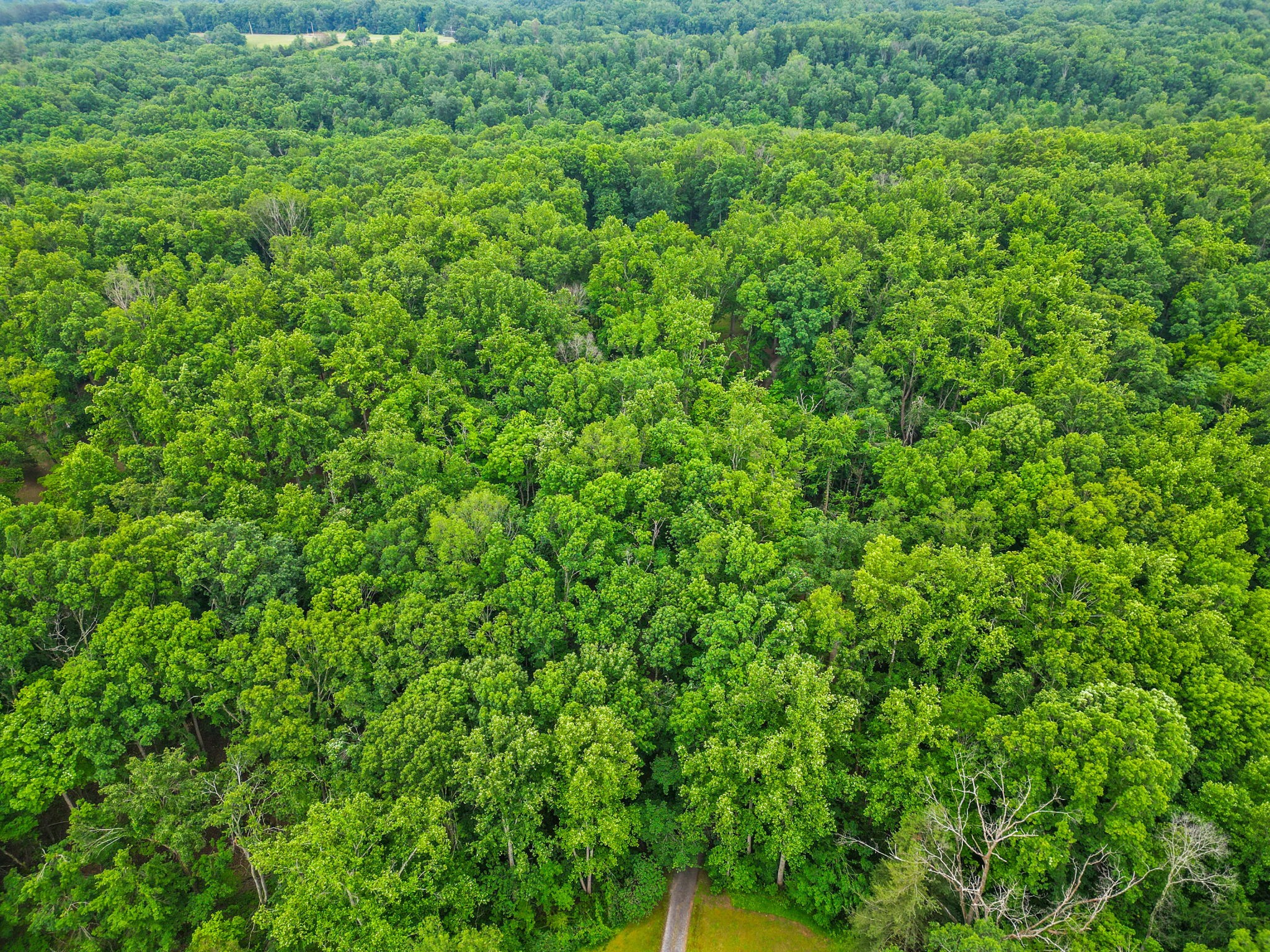 150A Dogwood Springs Dr