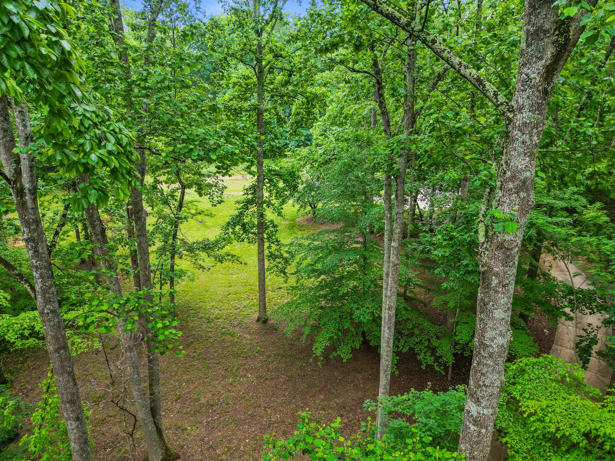 150A Dogwood Springs Dr