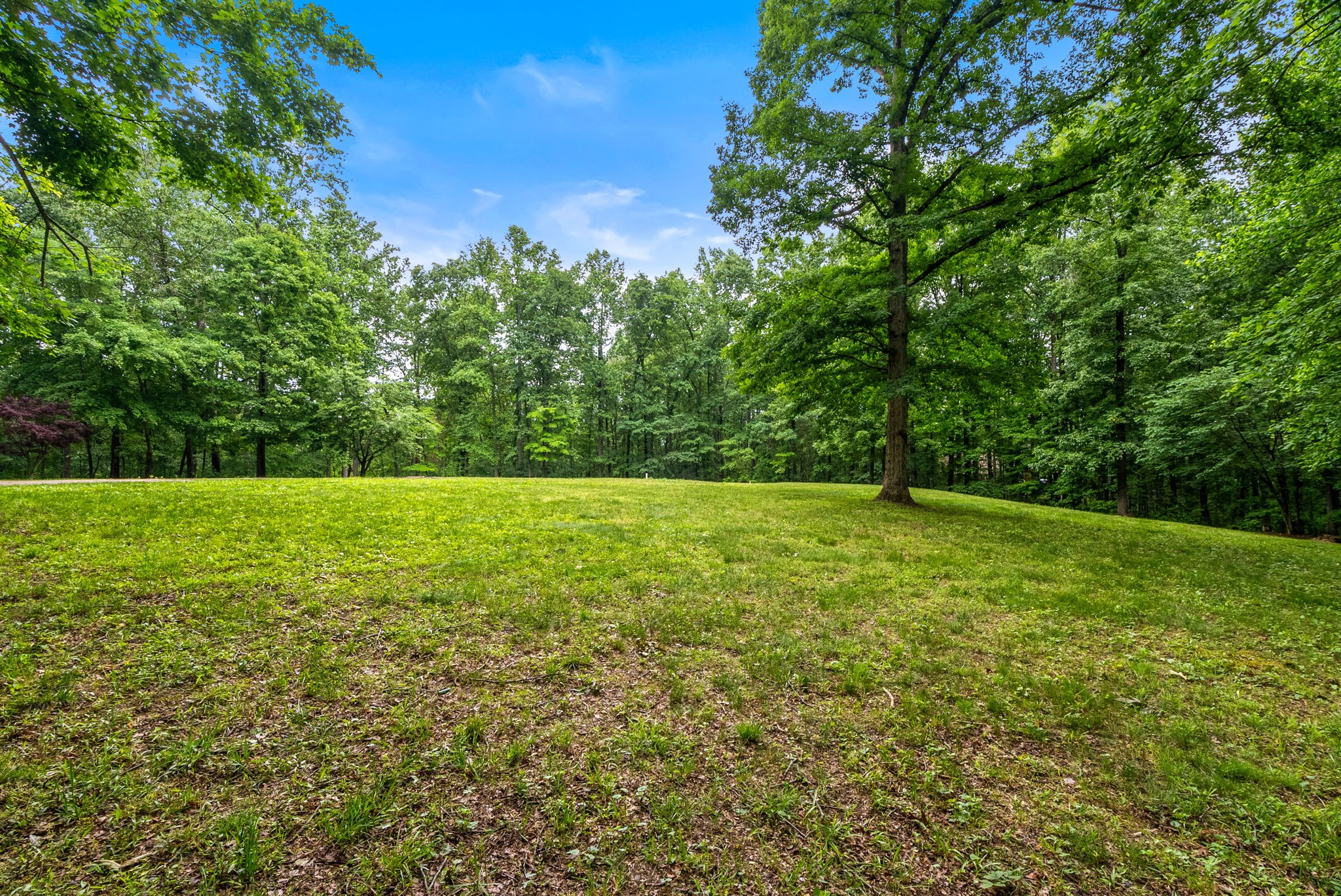 150A Dogwood Springs Dr