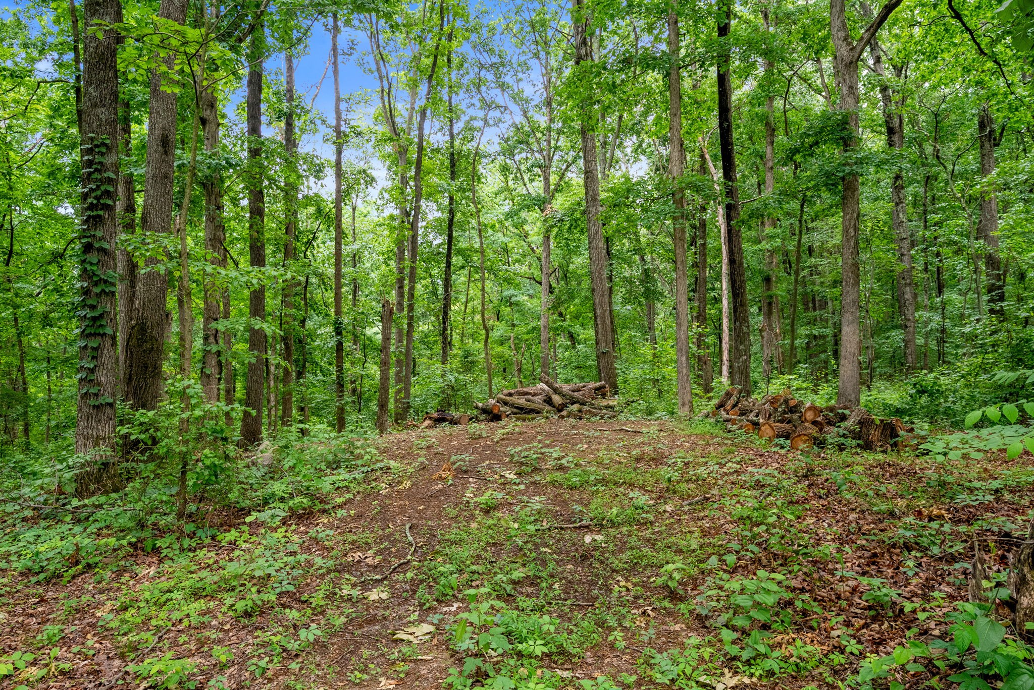150A Dogwood Springs Dr