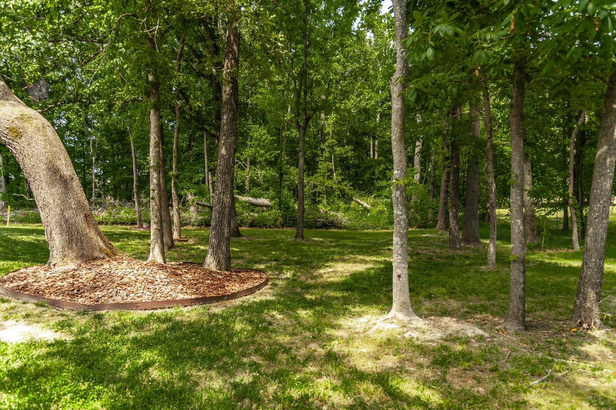 135 Bloomsbury Dr