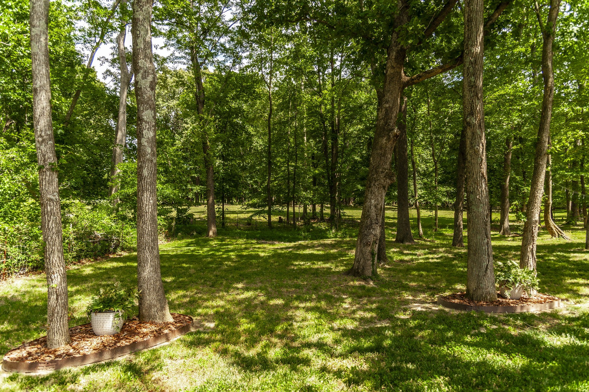 135 Bloomsbury Dr