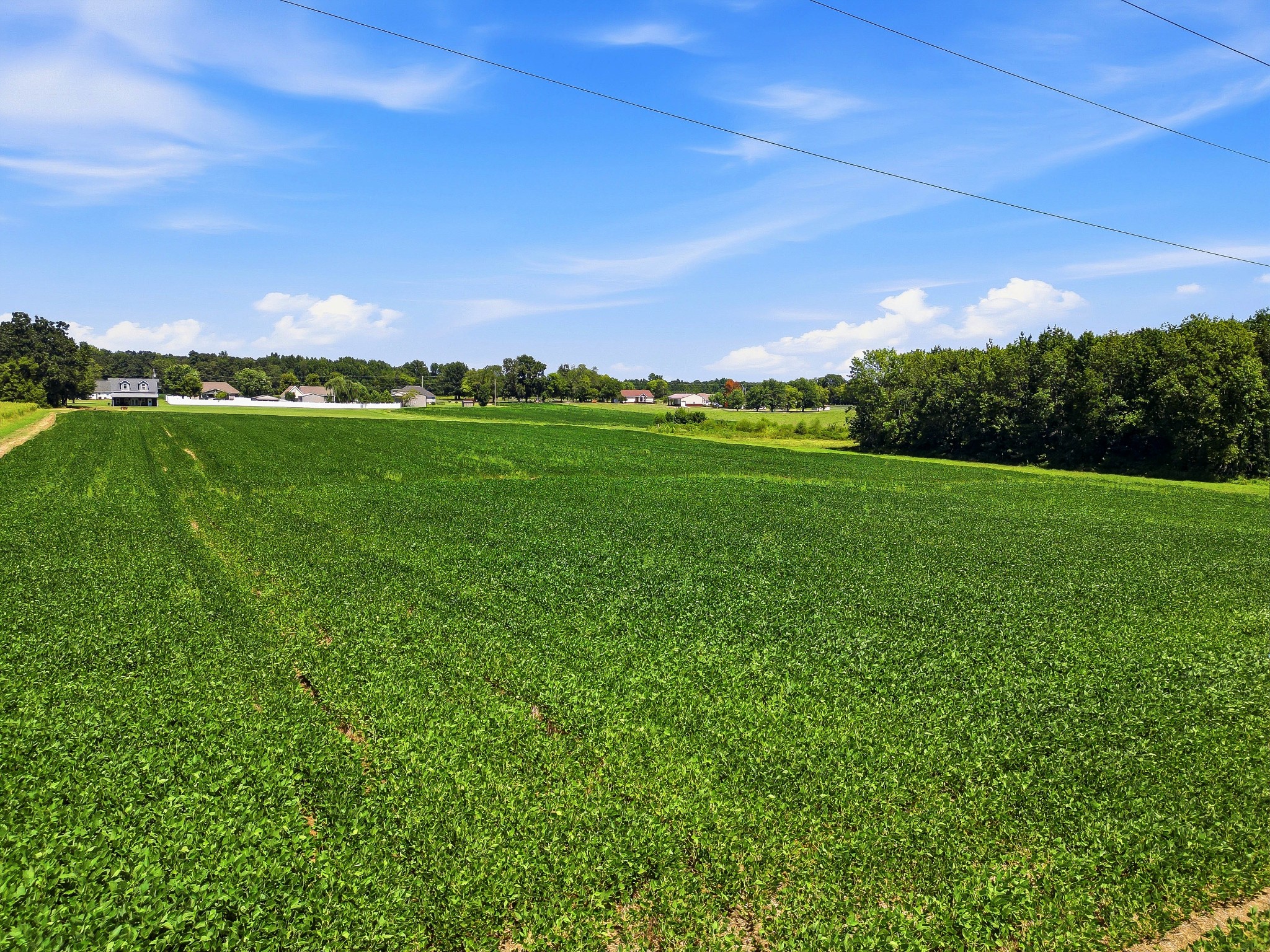 282 Highway 259